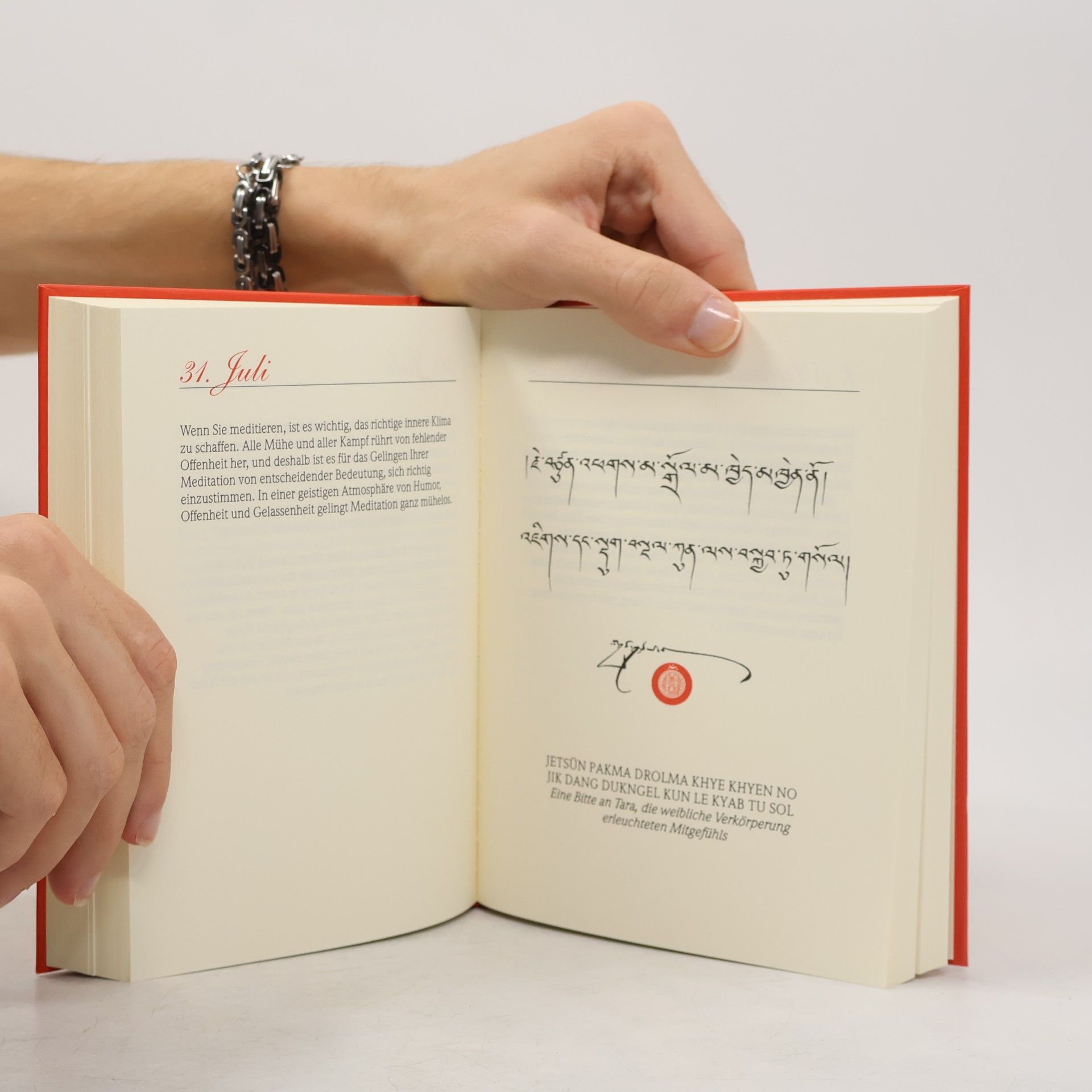 Sogyal Rinpoche Funken der Erleuchtung