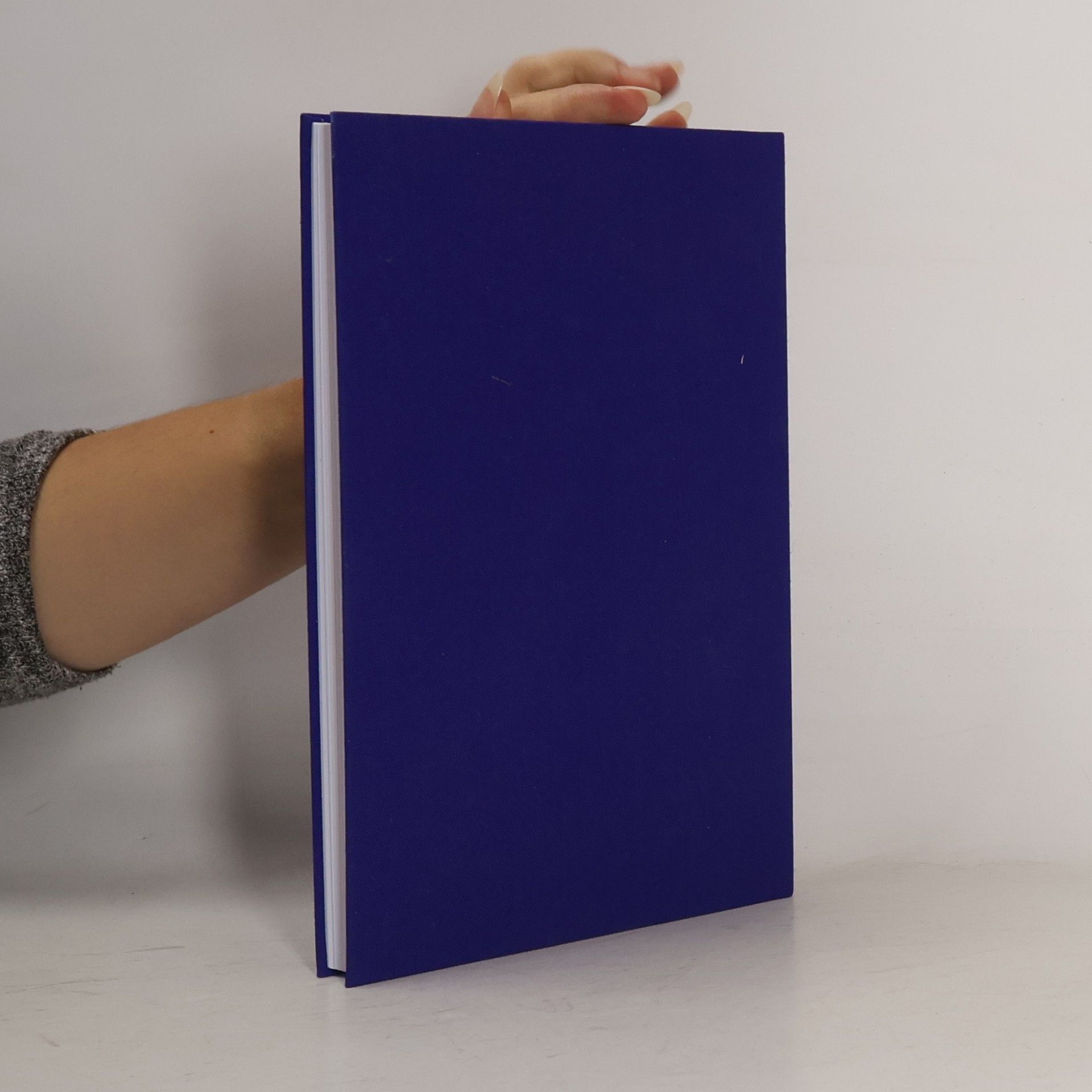 Stephan Schäfer Das Buch, das bleibt