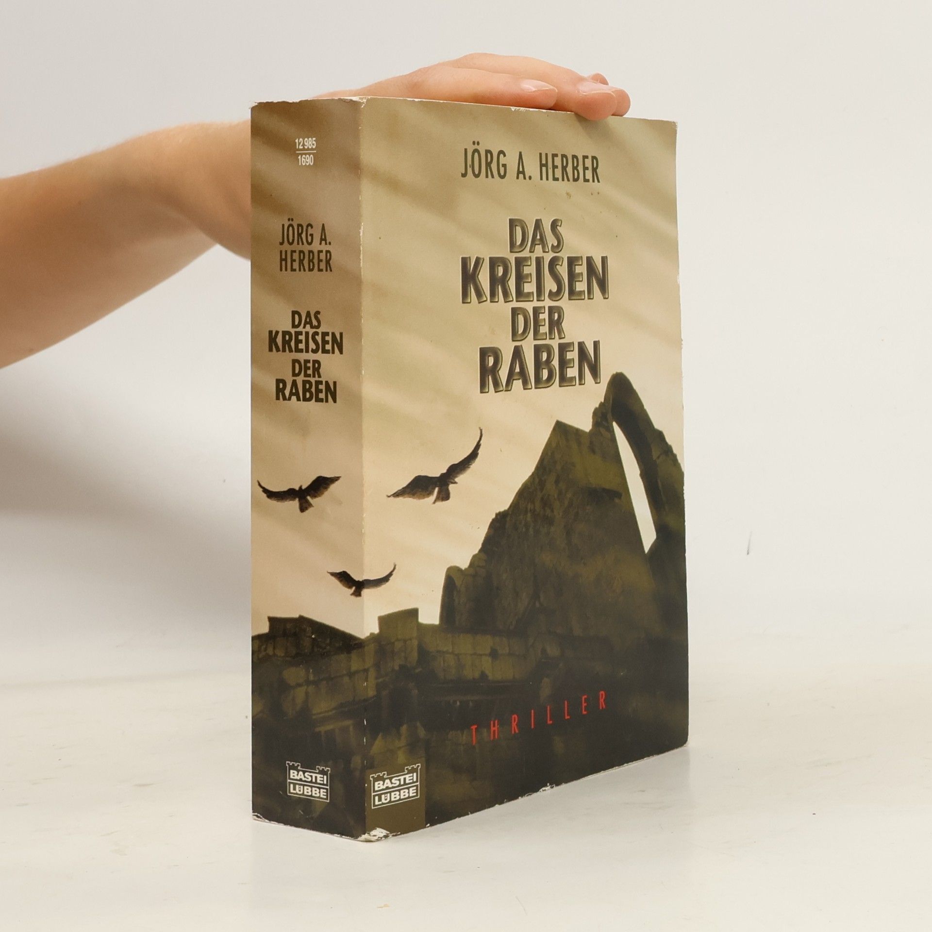 Jörg A. Herber Das Kreisen der Raben