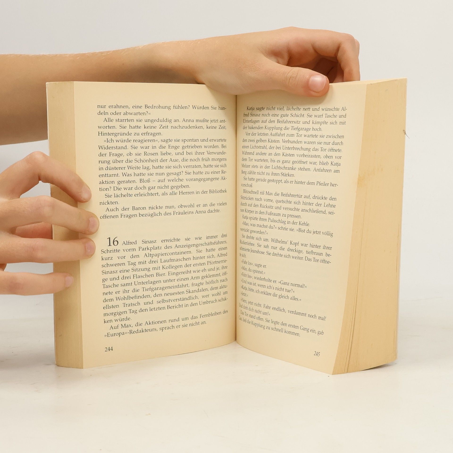 Jörg A. Herber Das Kreisen der Raben