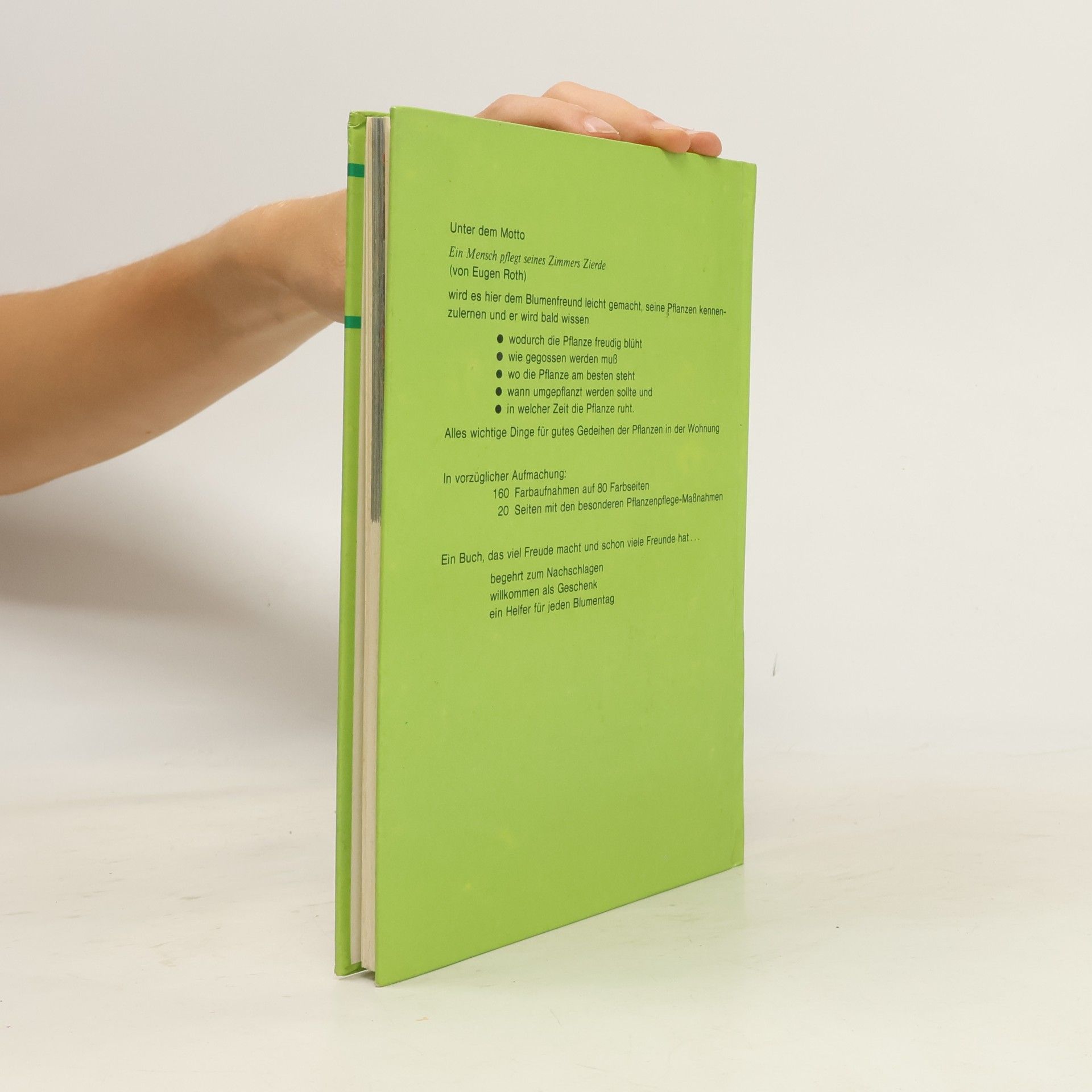 August Güse Neues Zimmerpflanzen-Buch