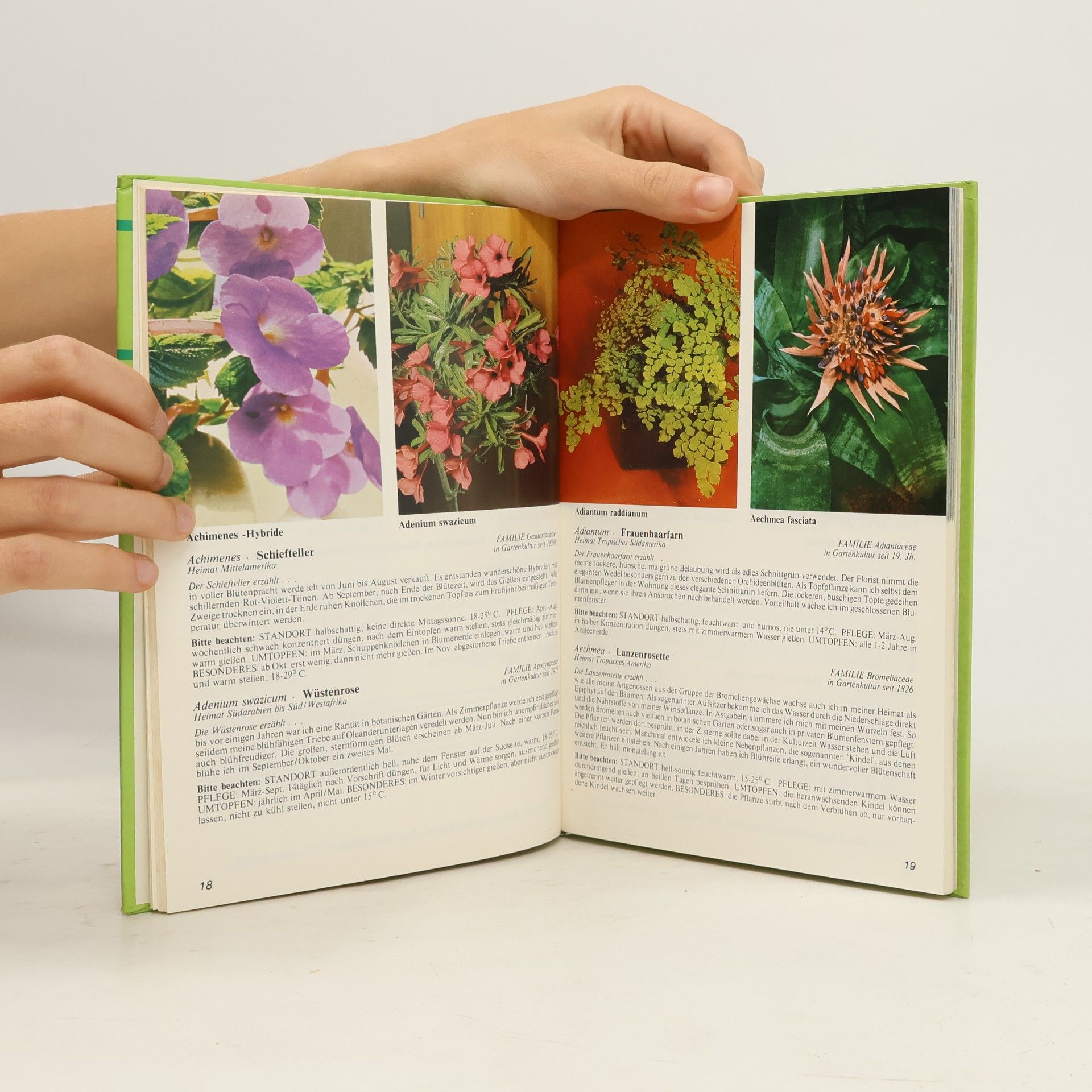 August Güse Neues Zimmerpflanzen-Buch