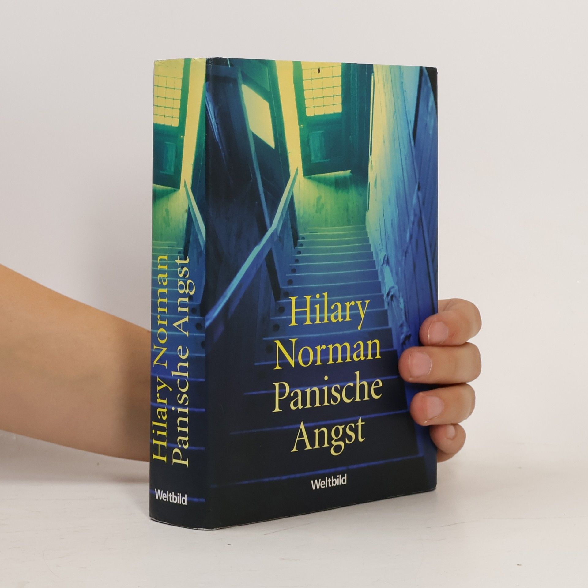 Hilary Norman Panische Angst