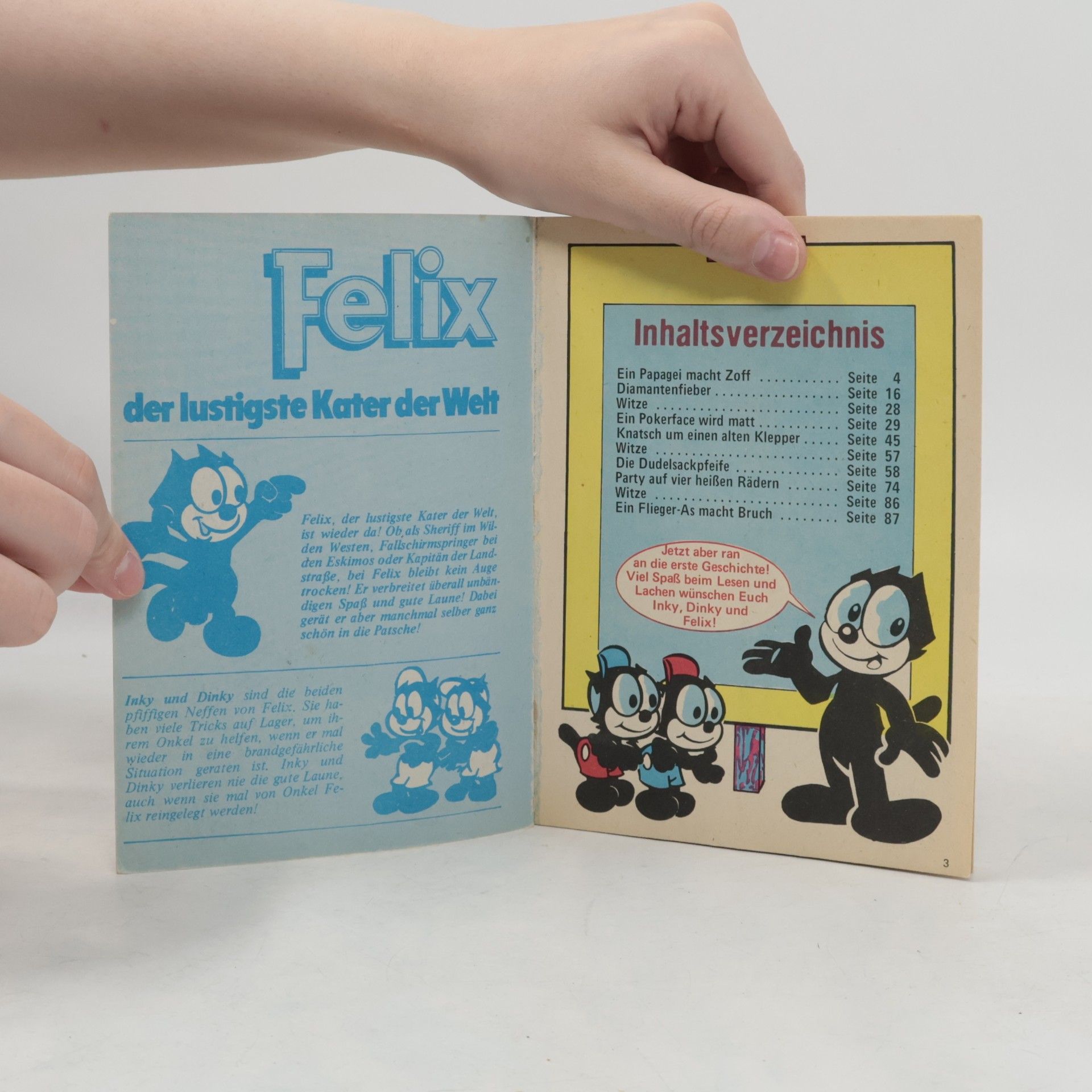 Autorenkollektiv Felix 8