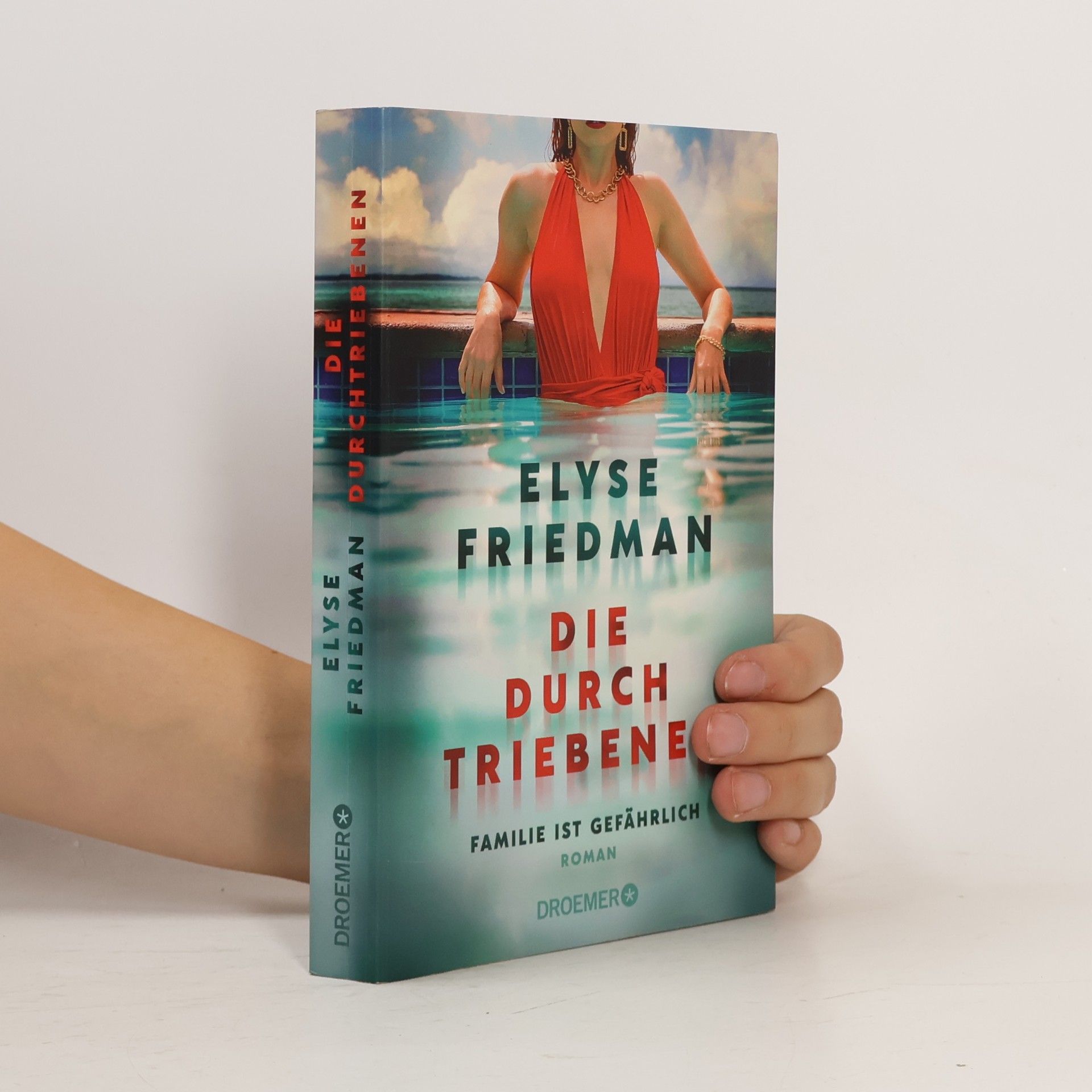 Elyse Friedman Die Durchtriebenen. Familie ist gefährlich. Roman | Bitter-böser Familien-Thriller aus Kanada