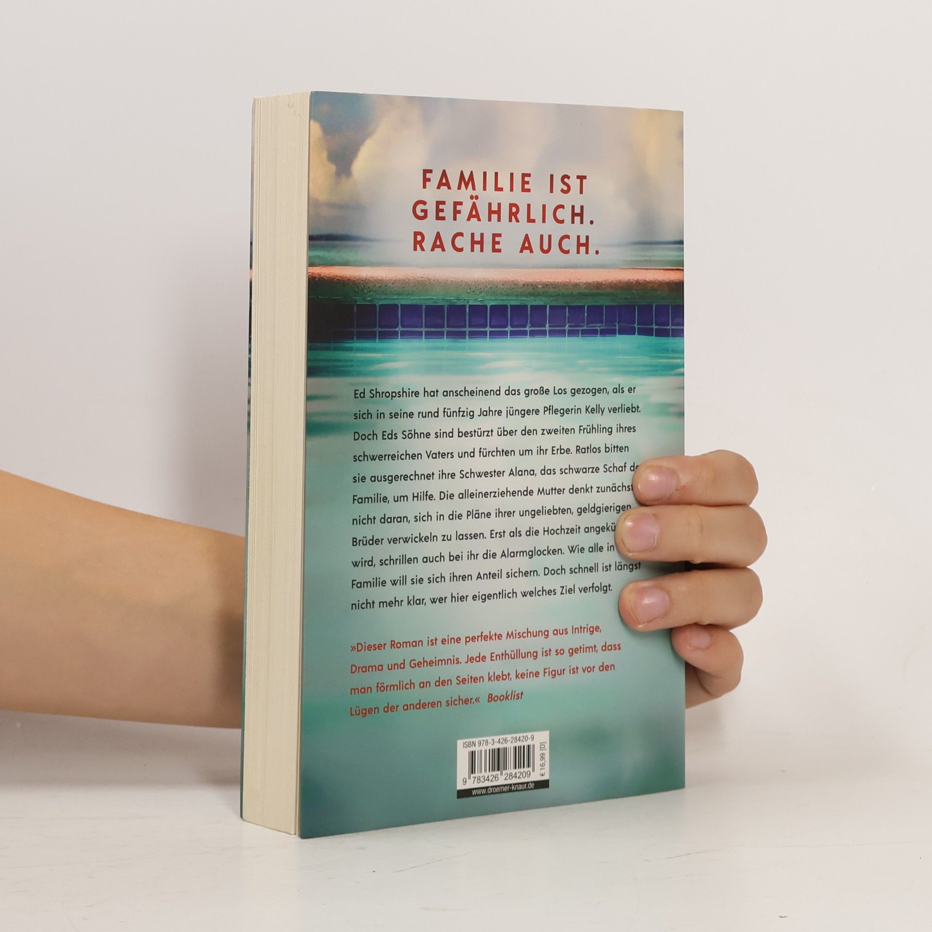 Elyse Friedman Die Durchtriebenen. Familie ist gefährlich. Roman | Bitter-böser Familien-Thriller aus Kanada
