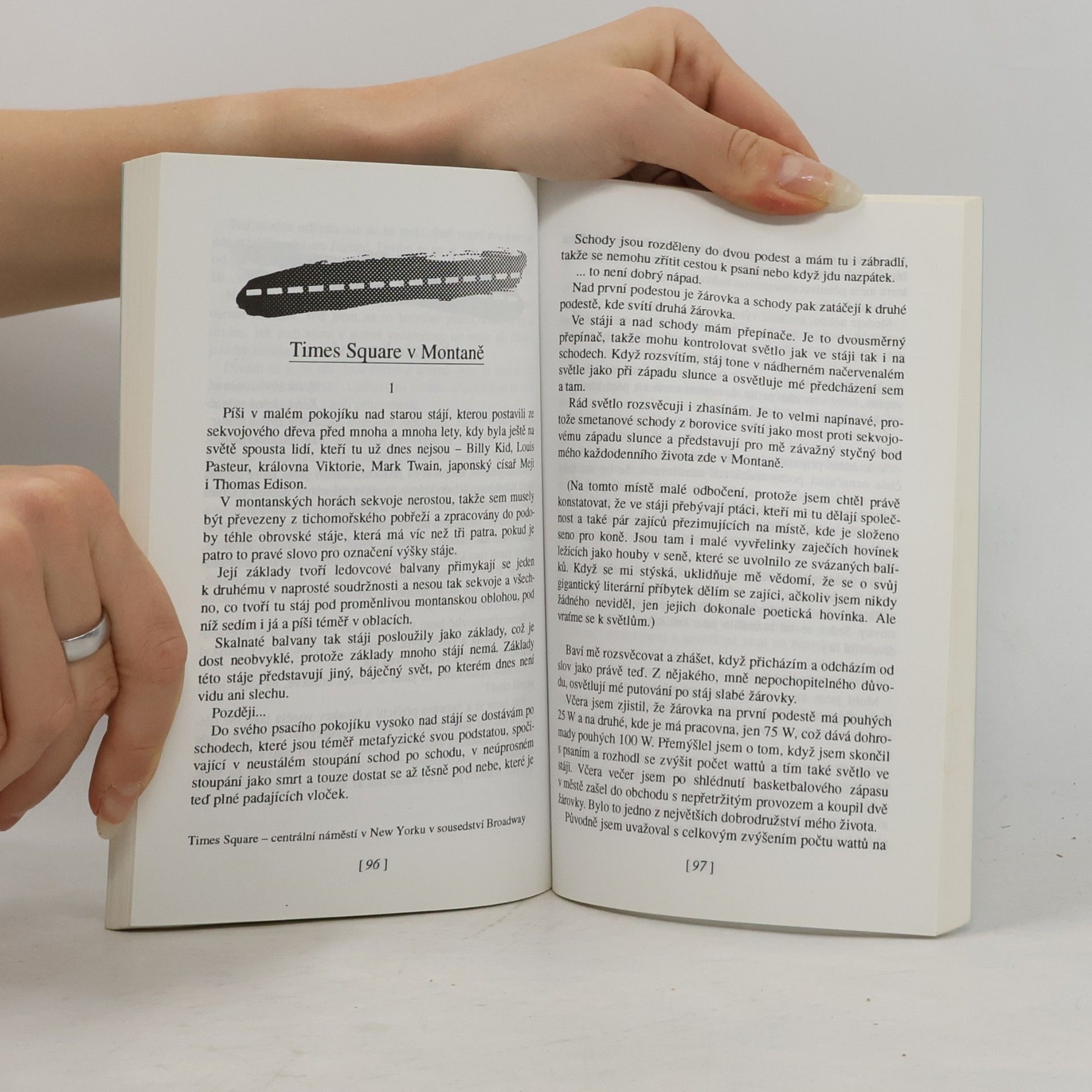 Richard Brautigan Expres Tokio-Montana
