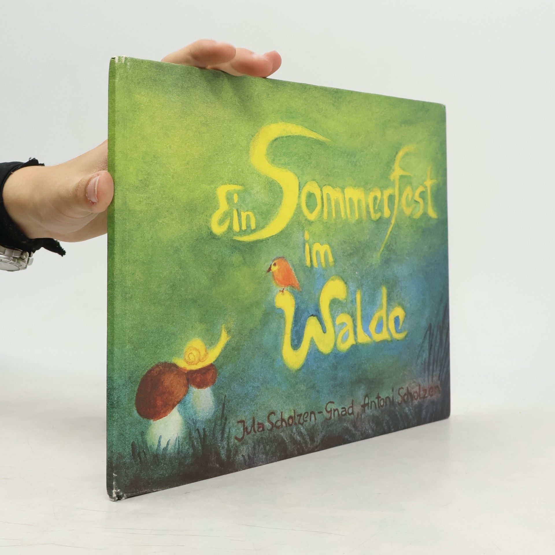 Jula Scholzen-Gnad Ein Sommerfest im Walde