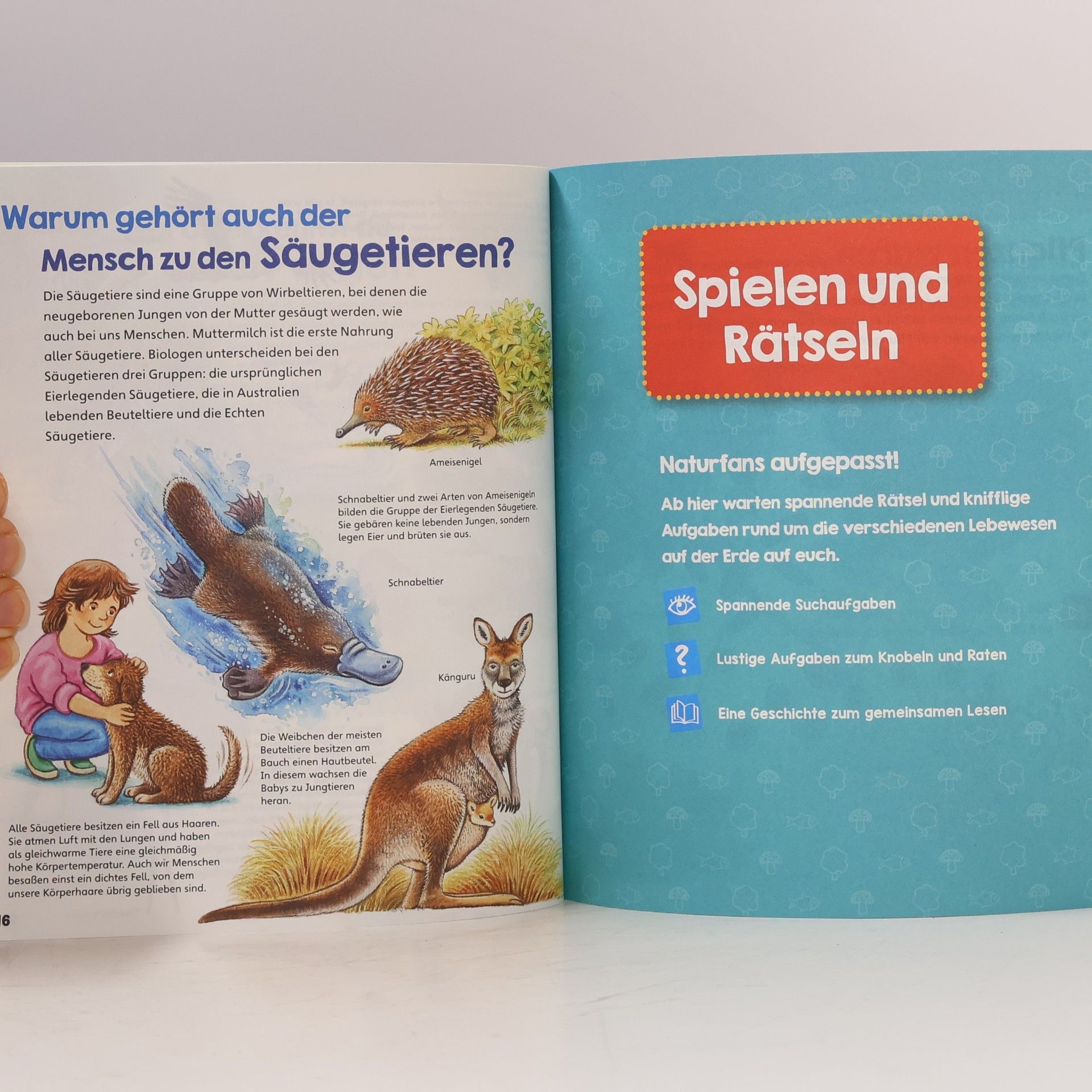 Autorenkollektiv Alles lebt! Wissen und Rätseln