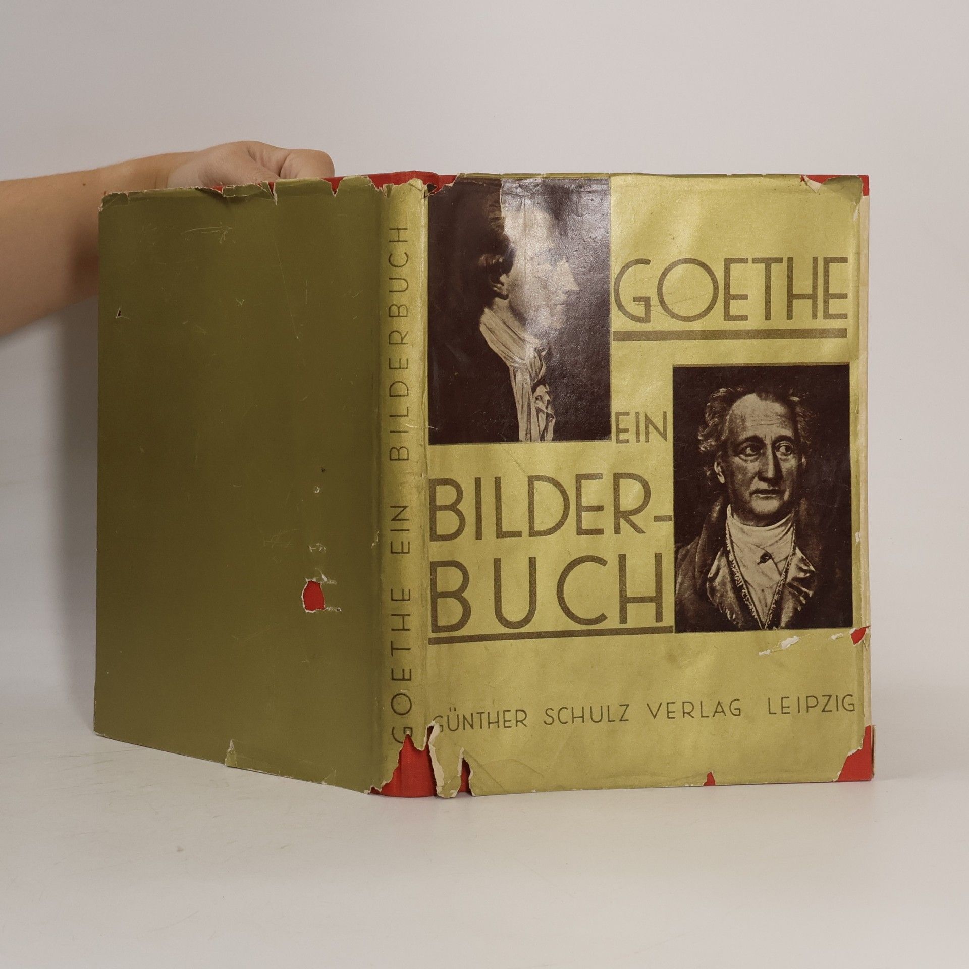 Rudolf Payer von Thurn GOETHE