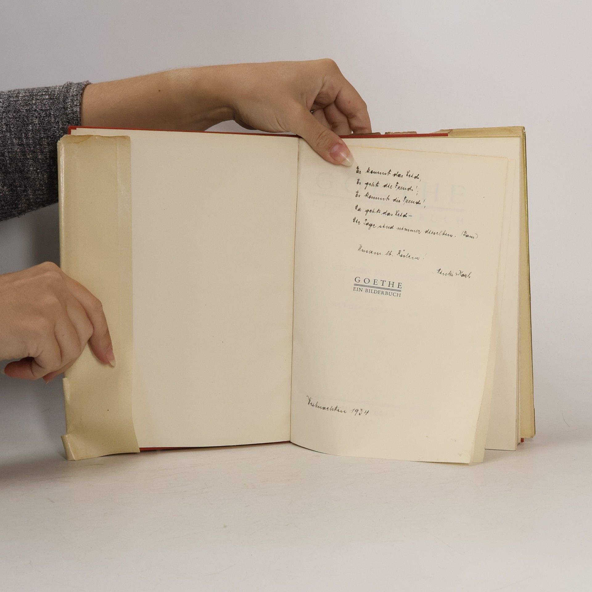 Rudolf Payer von Thurn GOETHE