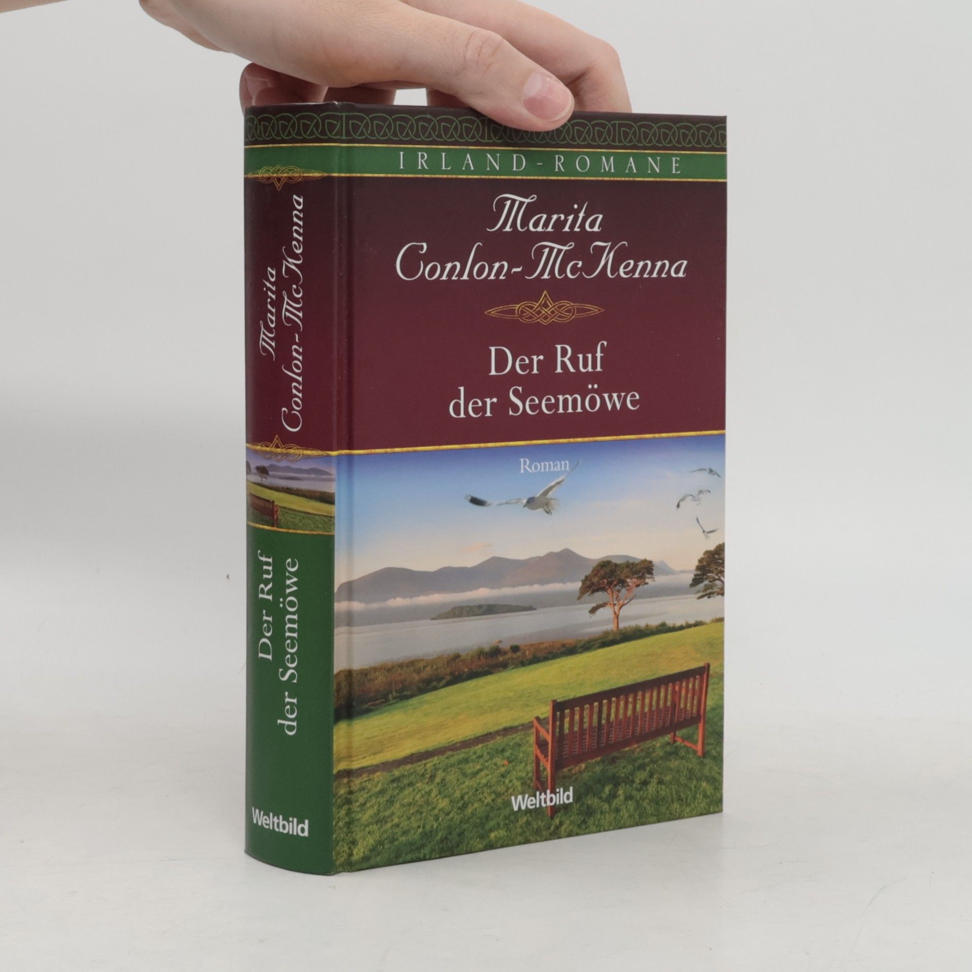 Marita Conlon-McKenna Der Ruf der Seemöwe