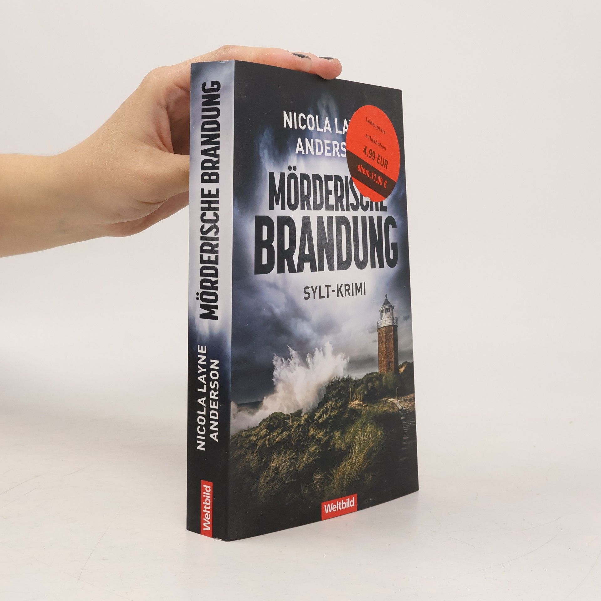 Nicola Layne Anderson Mörderische Brandung