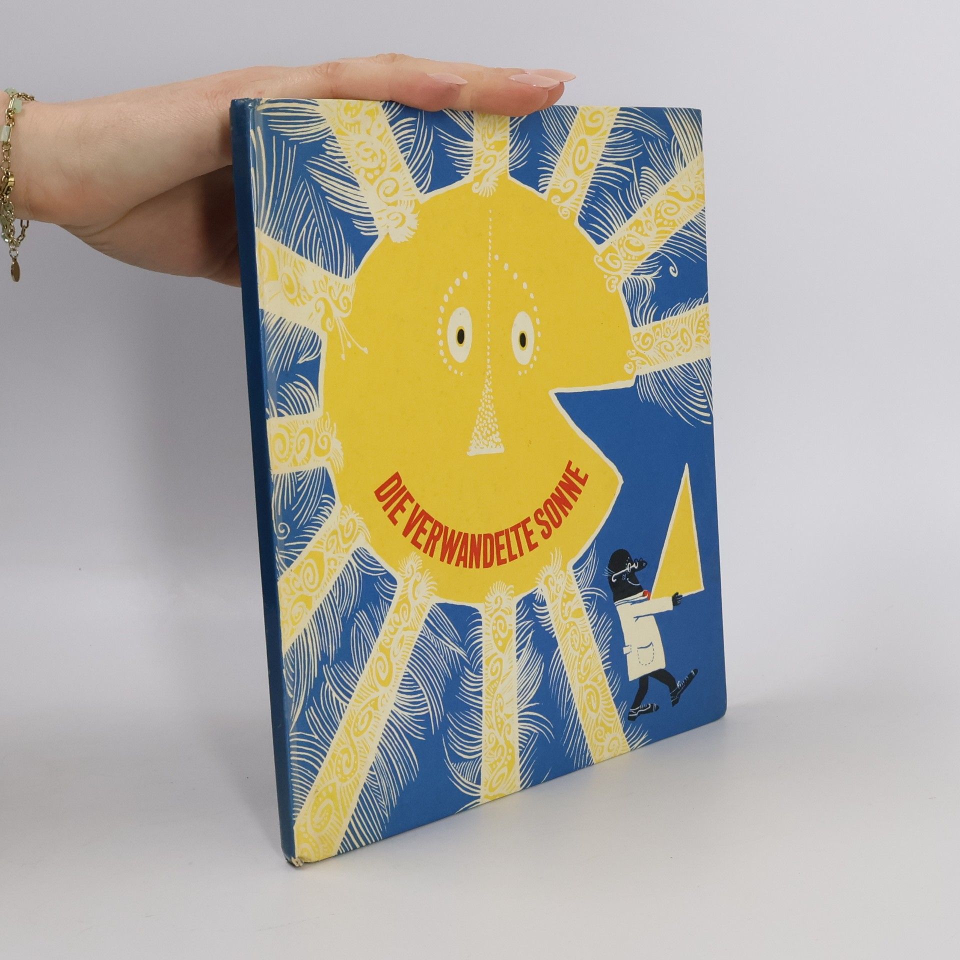 Kolektiv autorů Die verwandelte Sonne