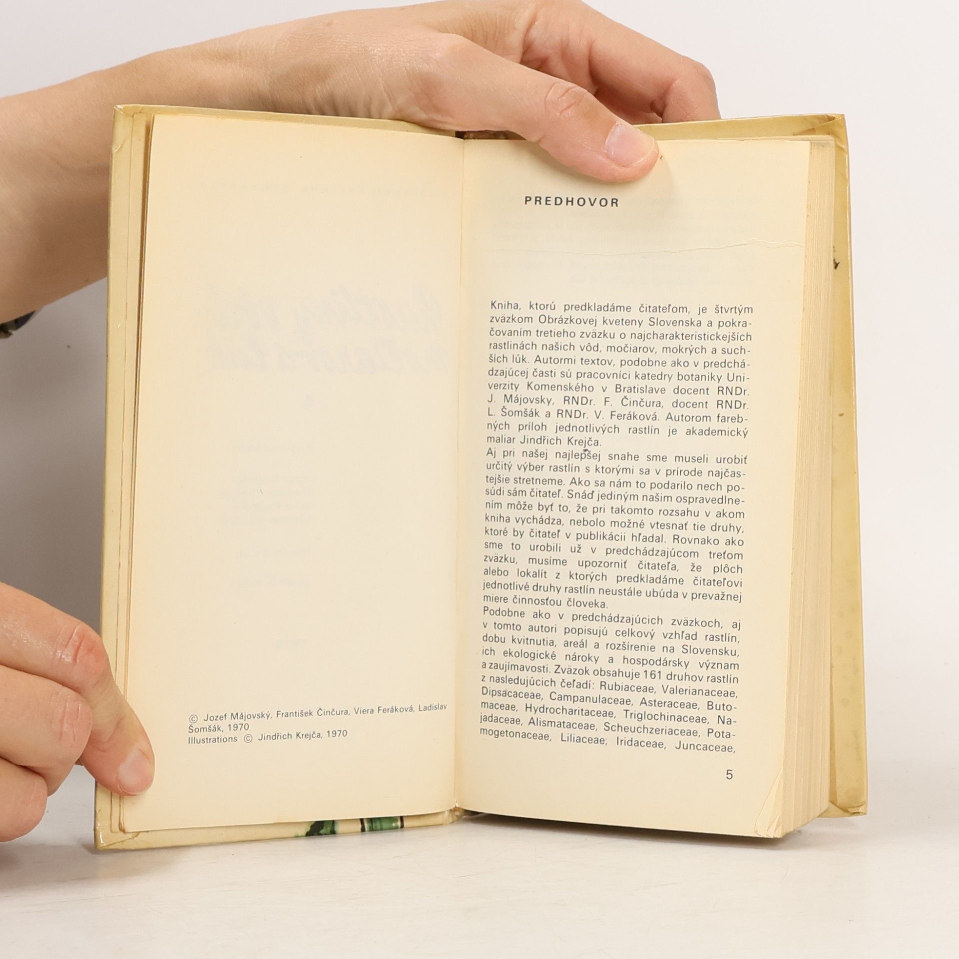 Autorenkollektiv Rastliny vôd močiarov a lúk