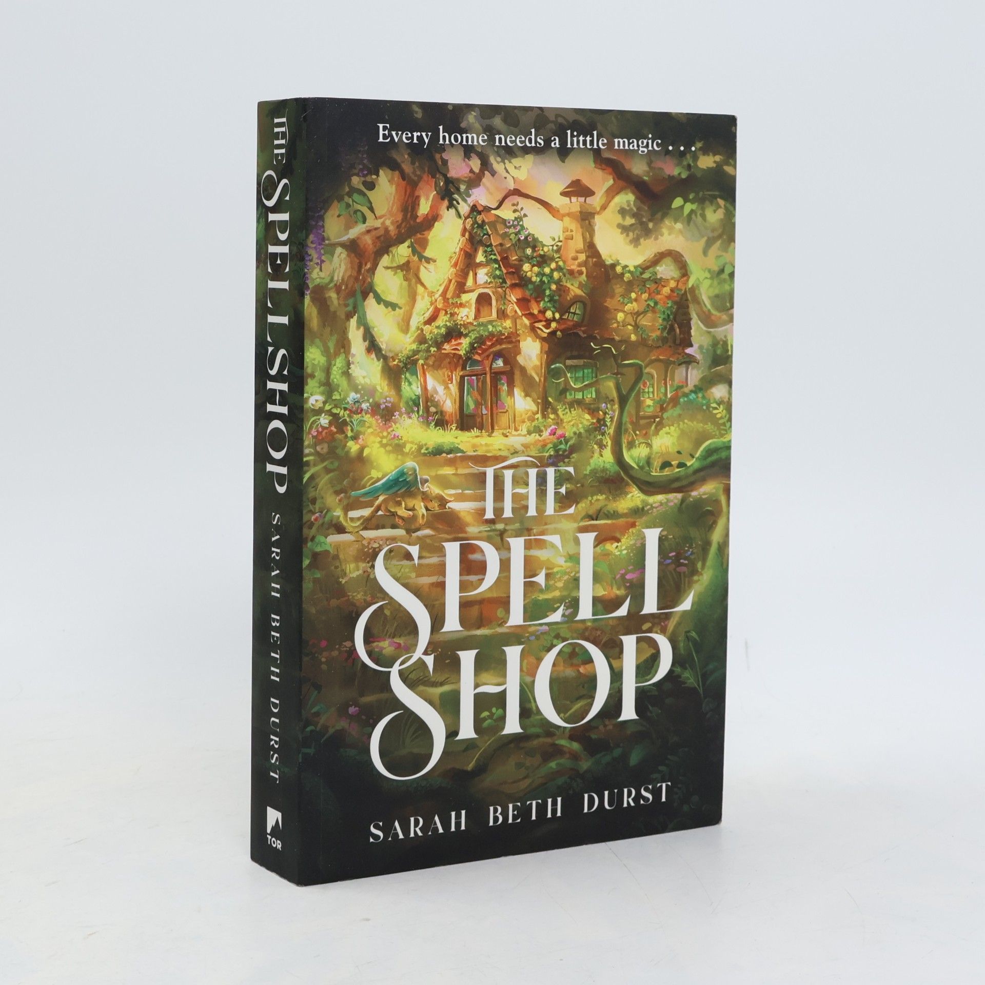 Sarah Beth Durst The Spellshop