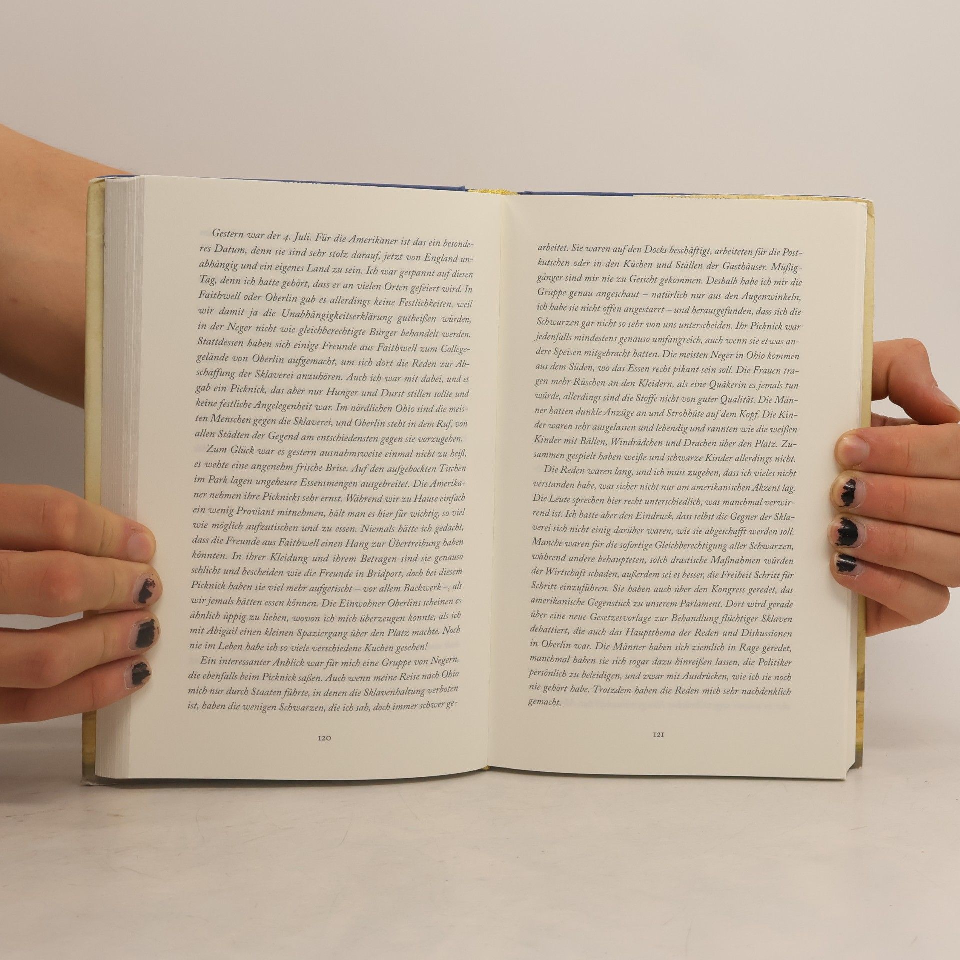 Tracy Chevalier Die englische Freundin