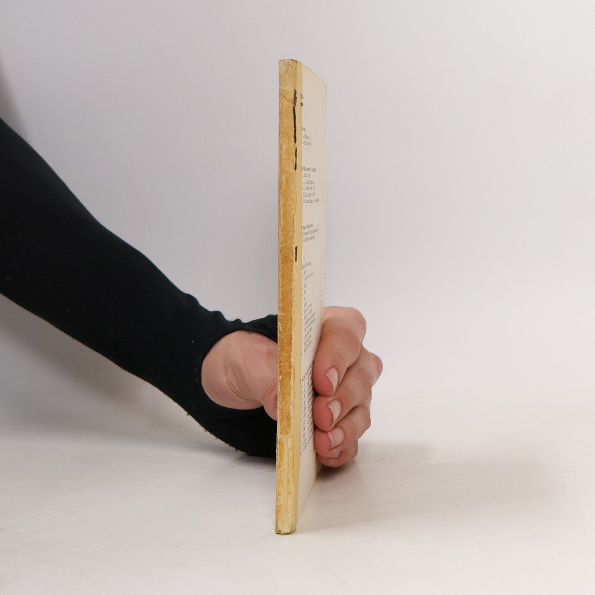 Pavel Herout MS-DOS prakticky aneb Co v manuálu nebylo