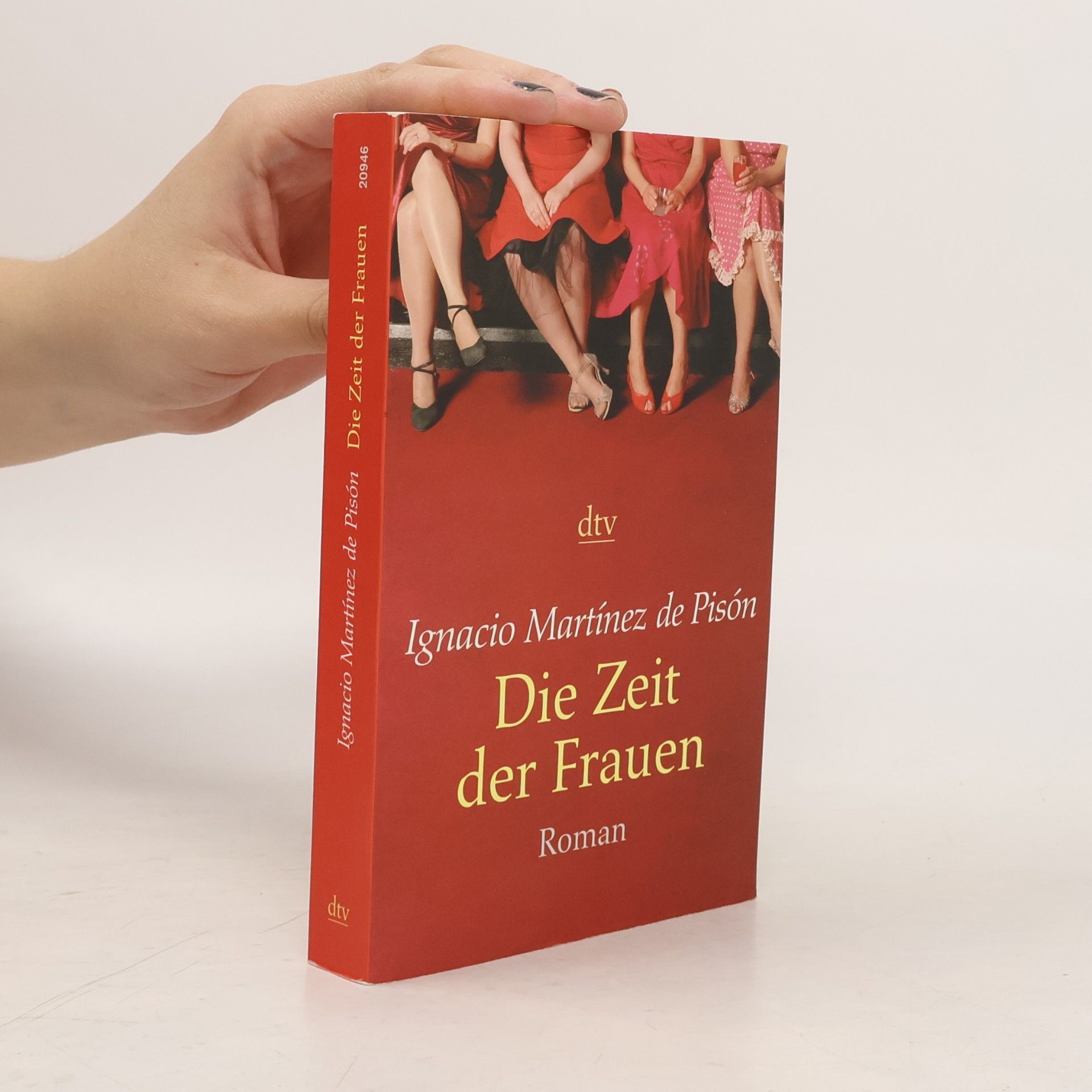 Ignacio Martínez de Pisón Die Zeit der Frauen