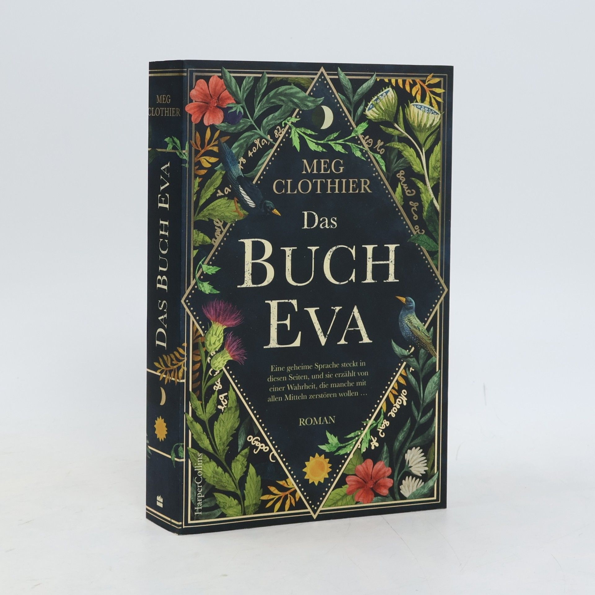 Meg Clothier Das Buch Eva