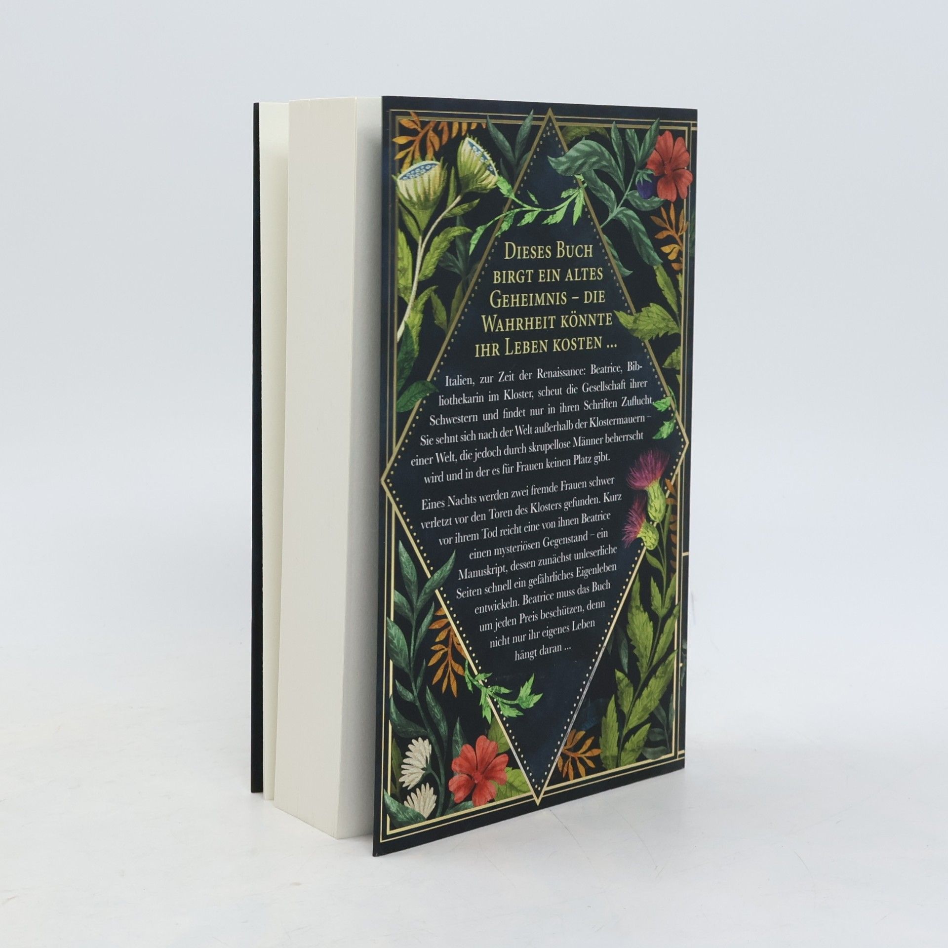 Meg Clothier Das Buch Eva