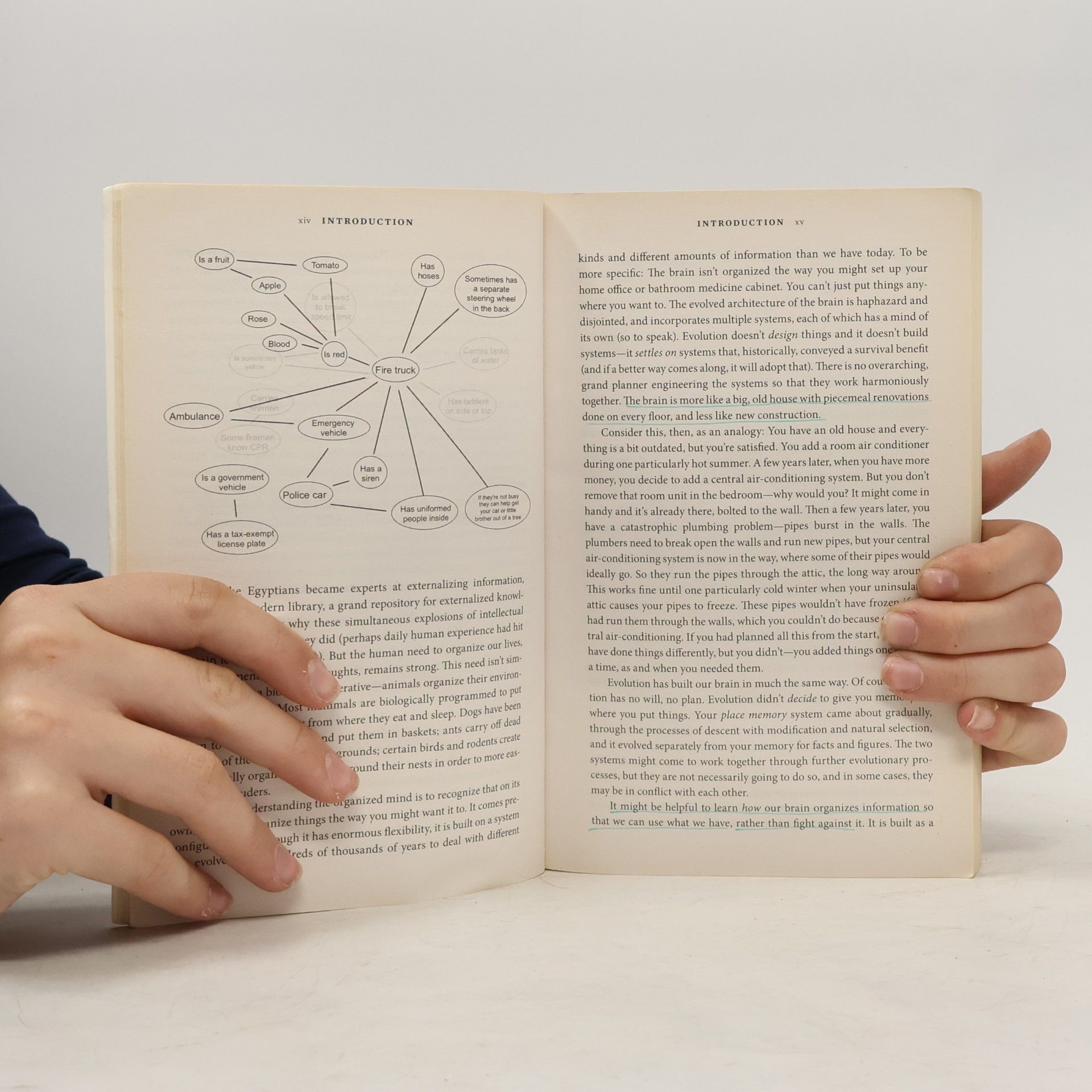 Daniel Levitin The Organized Mind
