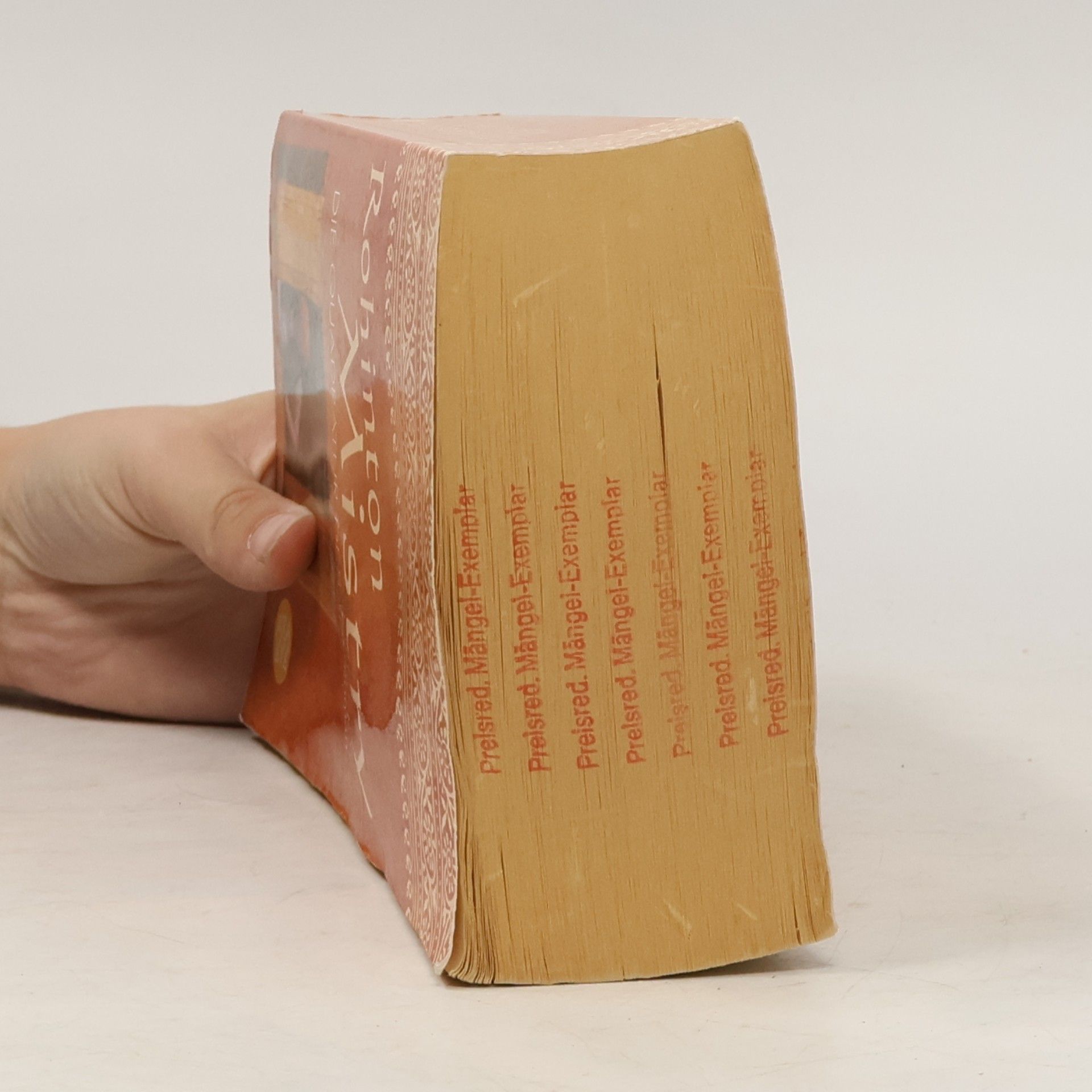 Rohinton Mistry Die Quadratur des Glücks