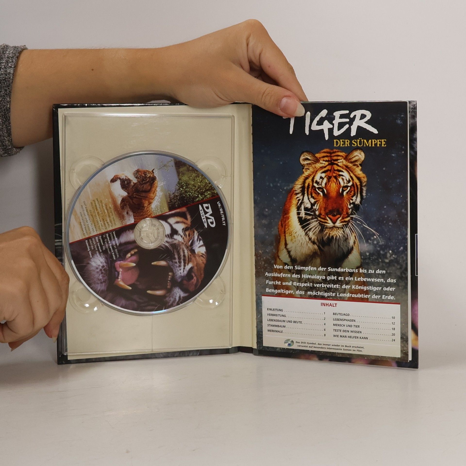 Kolektiv autorů Tiger. Der Sümpfe