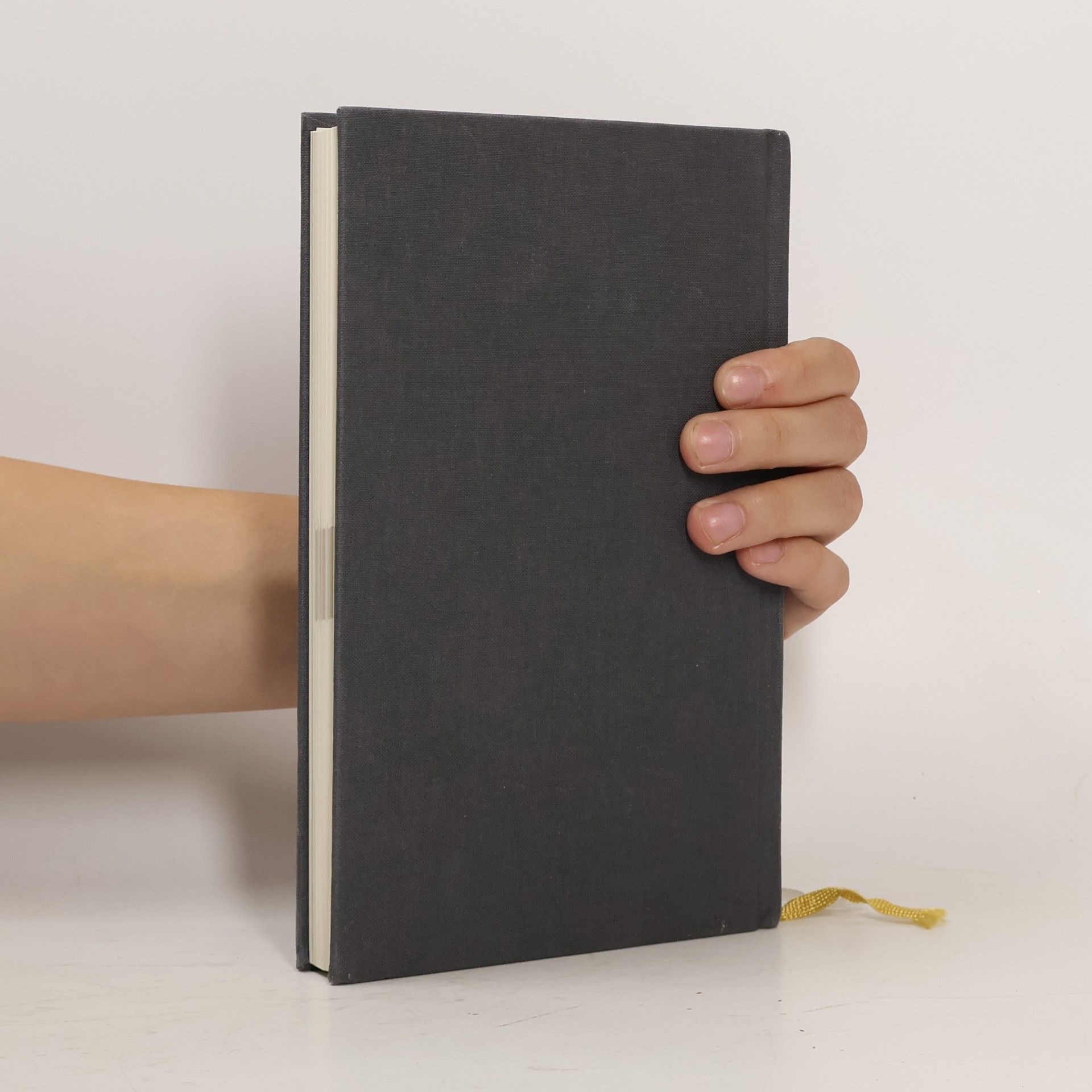 Dominik Spenst Das 6-Minuten Tagebuch