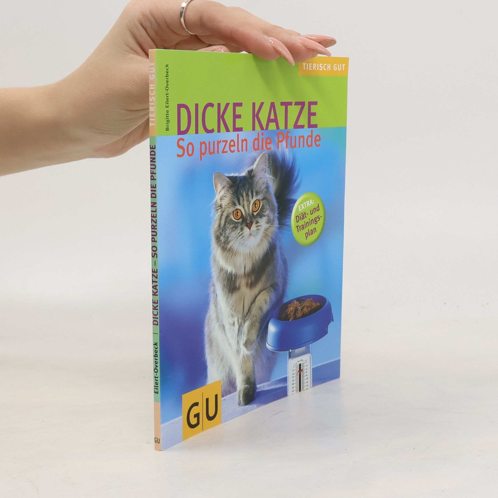 Brigitte Eilert-Overbeck Dicke Katze