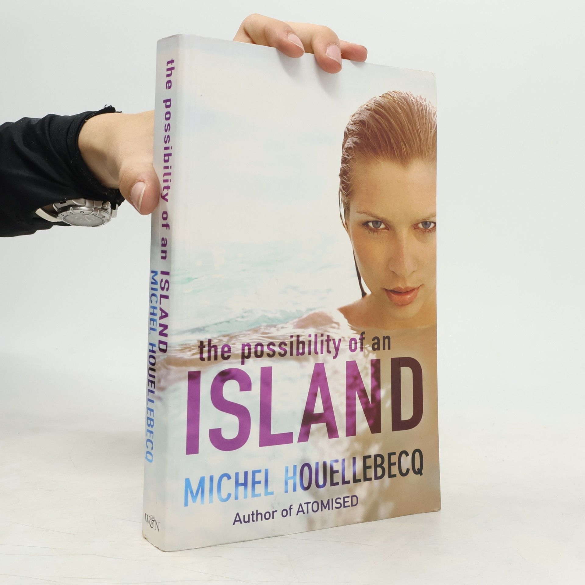 Michel Houellebecq The possibility of an island