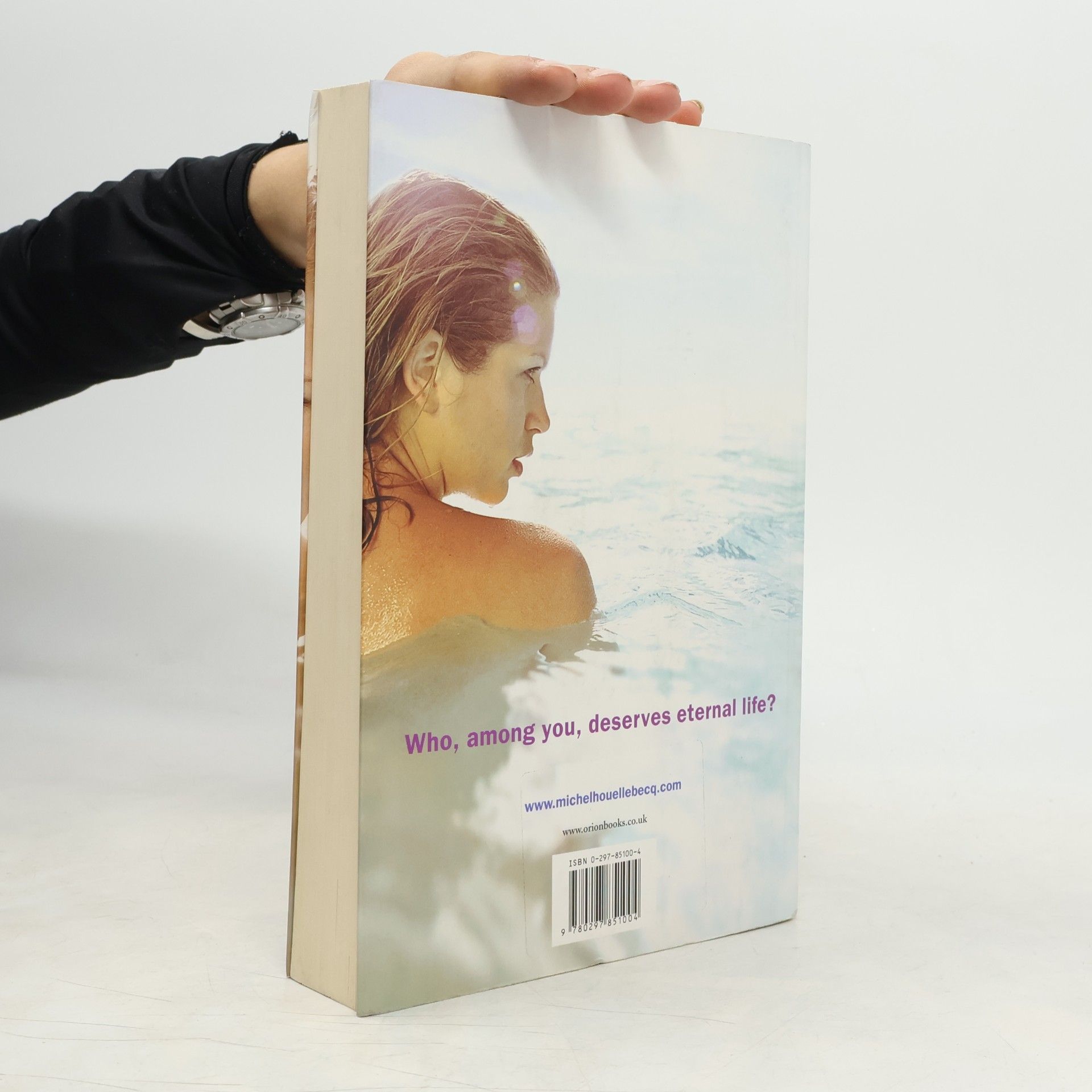 Michel Houellebecq The possibility of an island