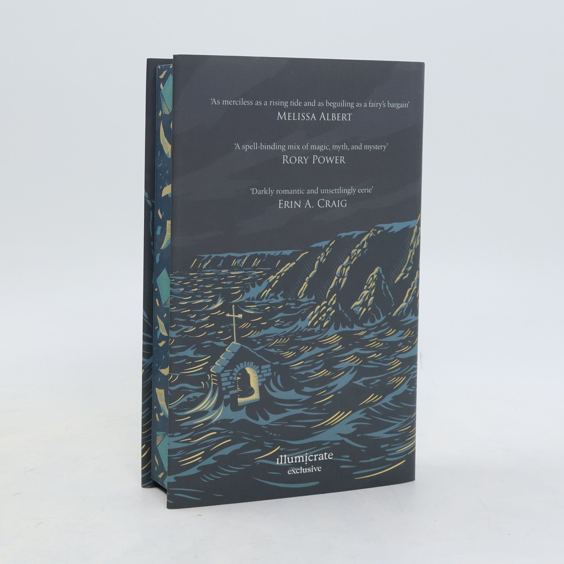 Ava Reid A Study in Drowning