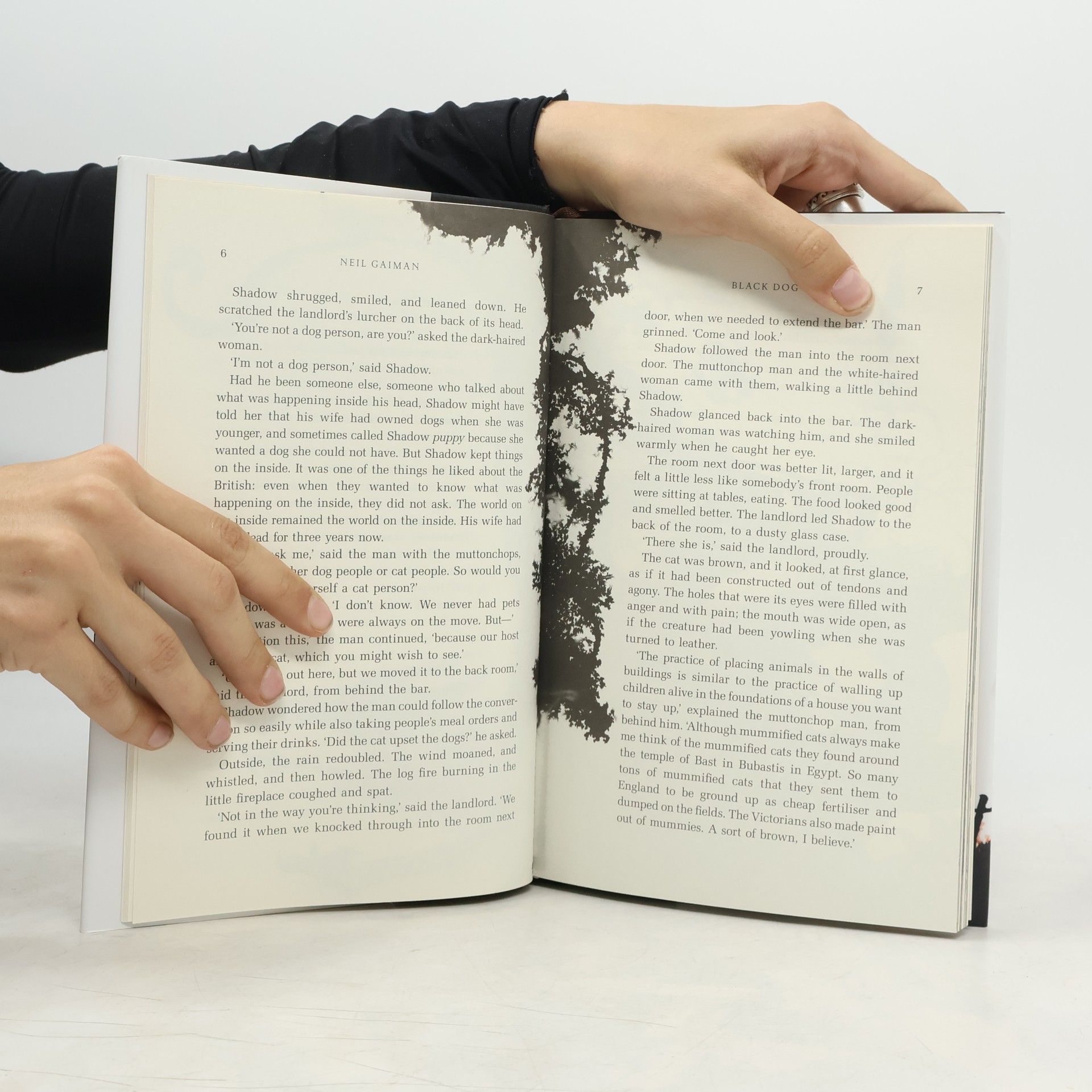 Neil Gaiman Black Dog - Illustrated Edition