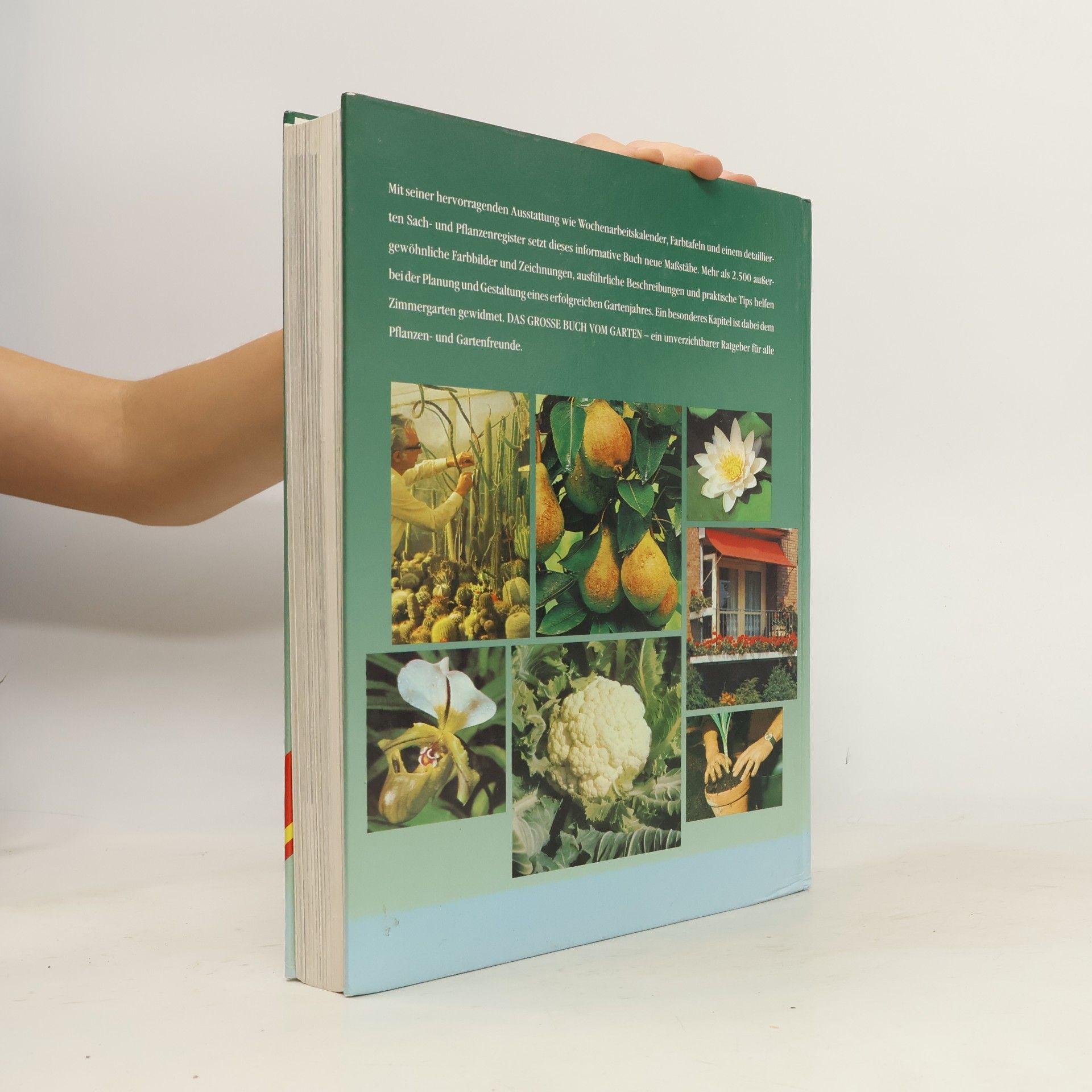 Autorenkollektiv Mein grosses Gartenbuch