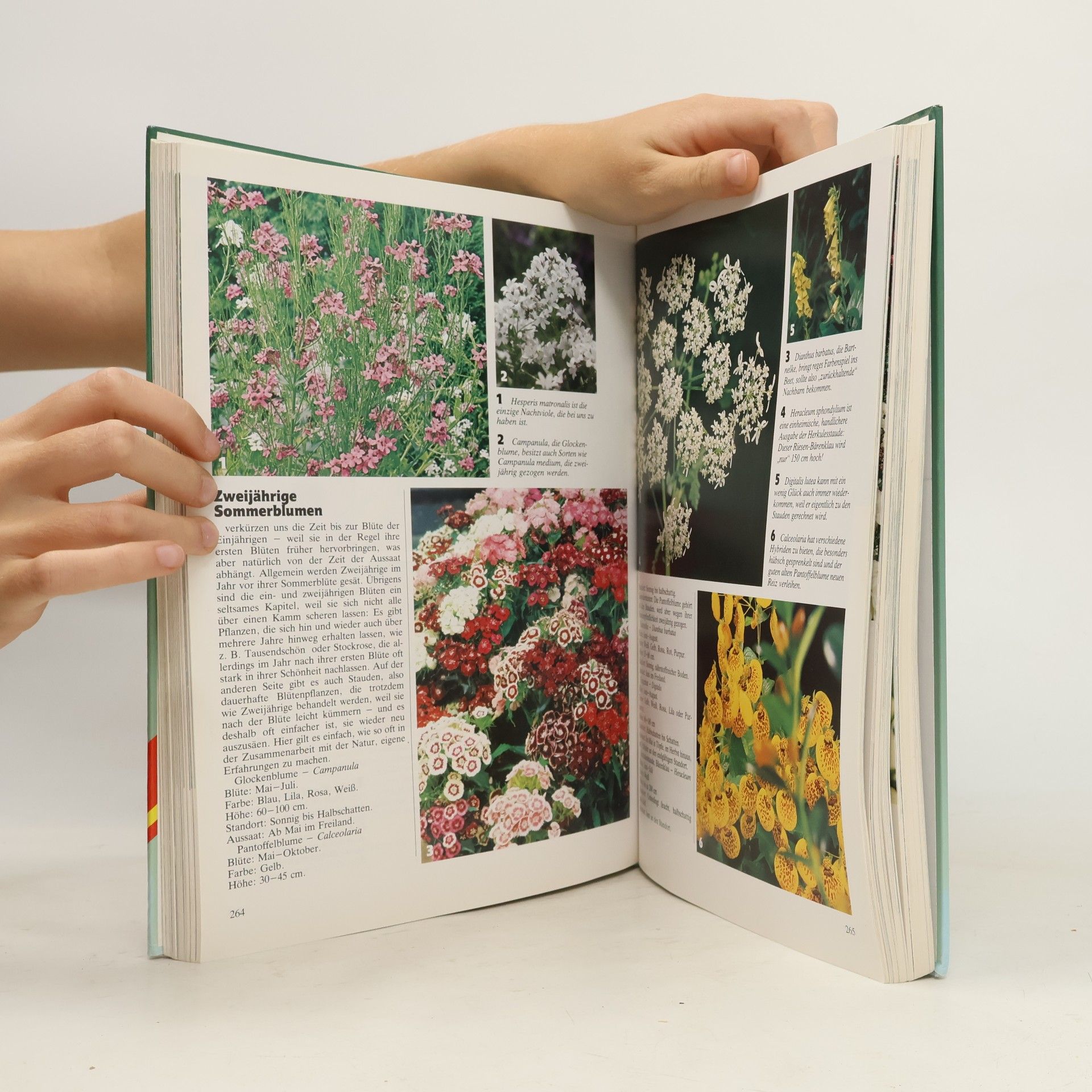 Autorenkollektiv Mein grosses Gartenbuch