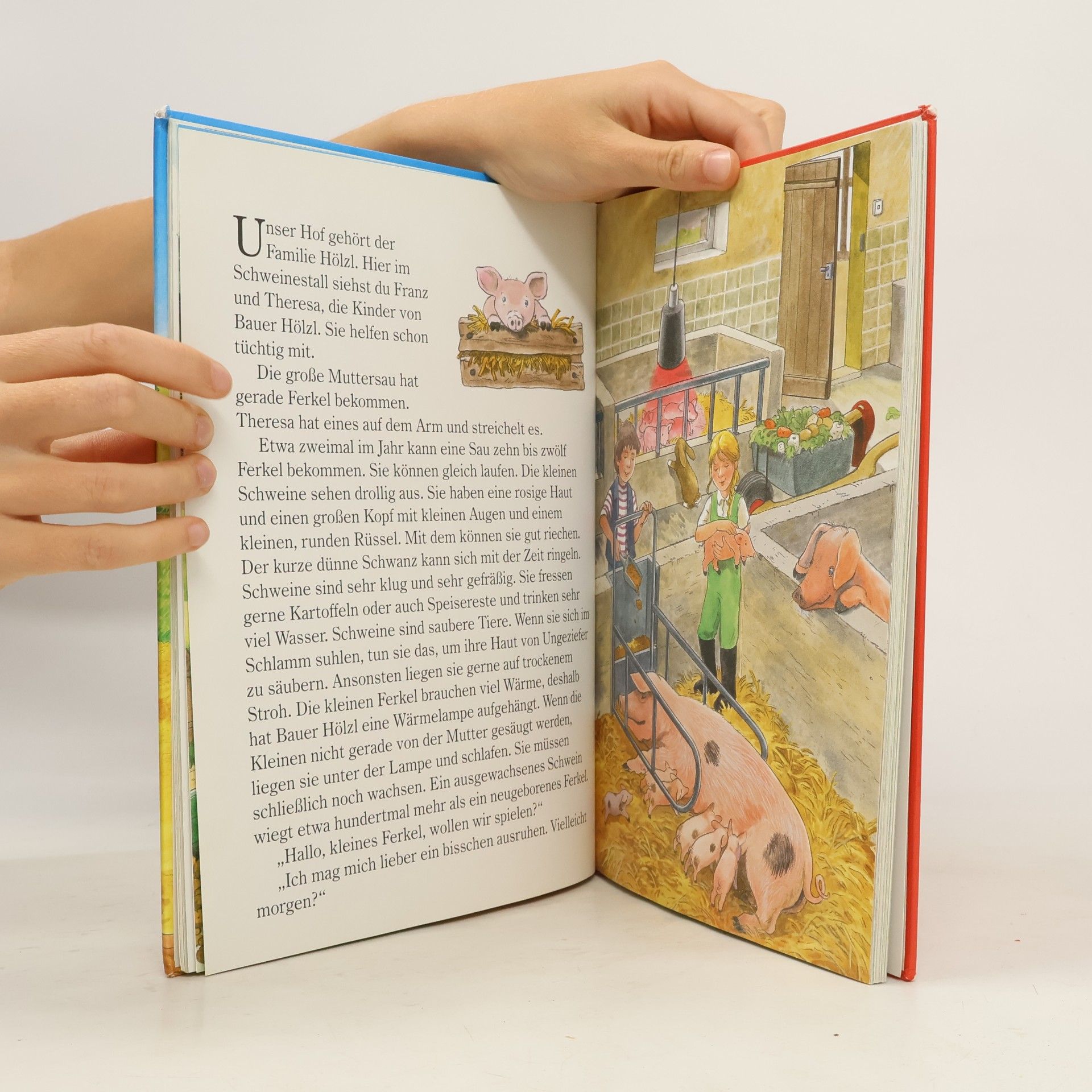 Autorenkollektiv Mein großes Buch vom Bauernhof