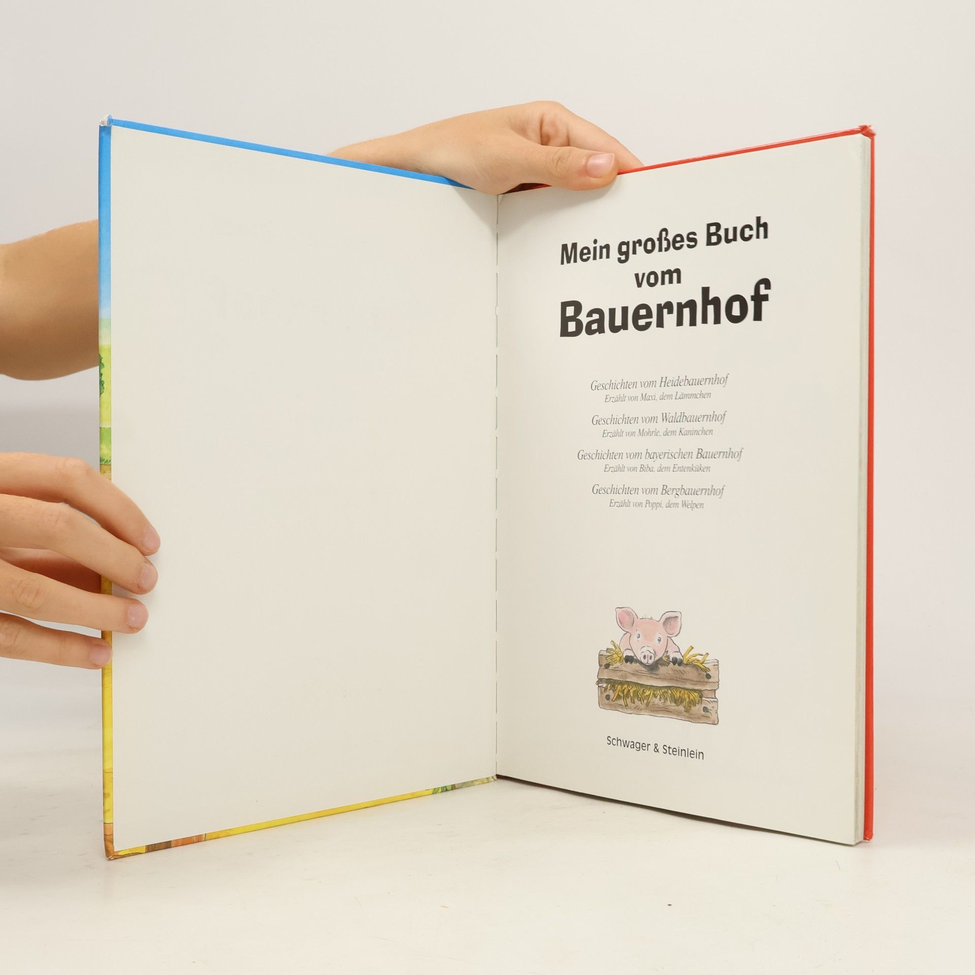 Autorenkollektiv Mein großes Buch vom Bauernhof