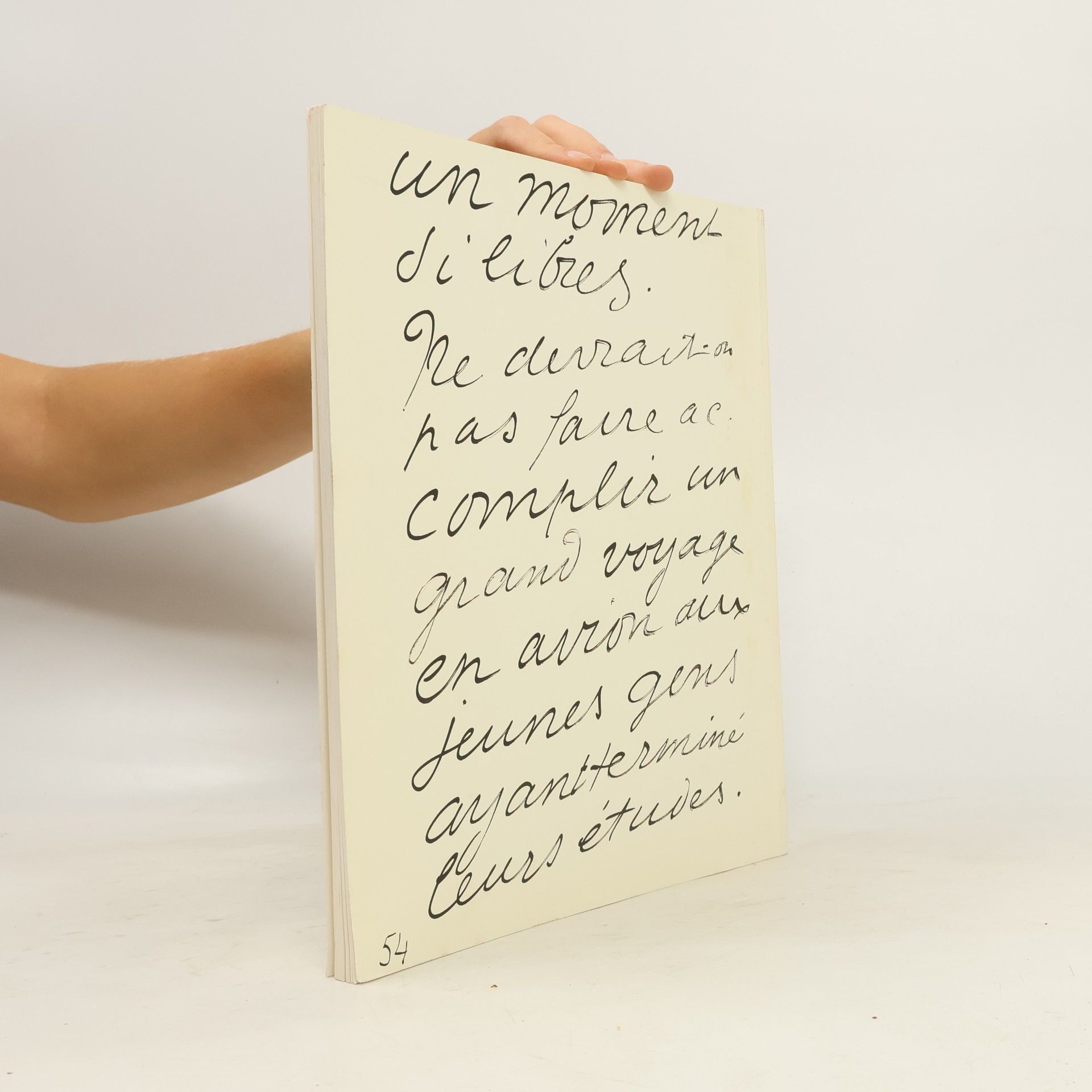 Sybille Bock Französische Malerbücher von Bonnard bis Picasso