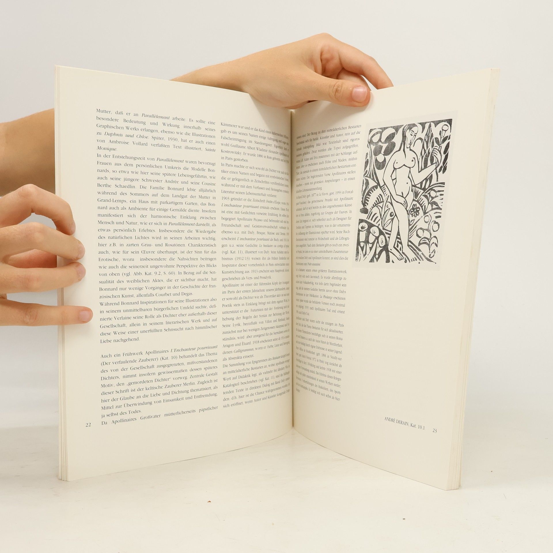 Sybille Bock Französische Malerbücher von Bonnard bis Picasso