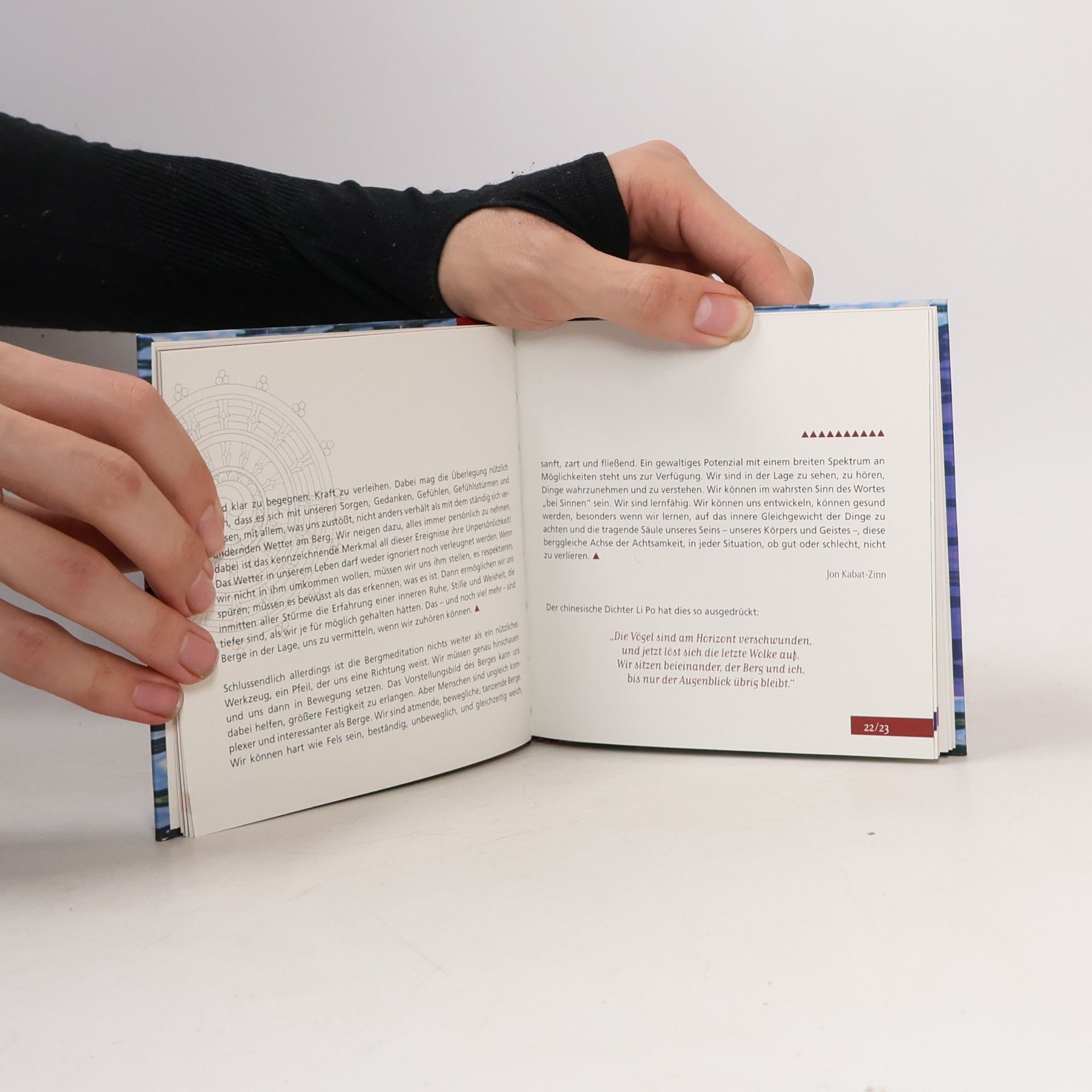 Jon Kabat Zinn Die heilende Kraft der Achtsamkeit - Buch & 2 CDs