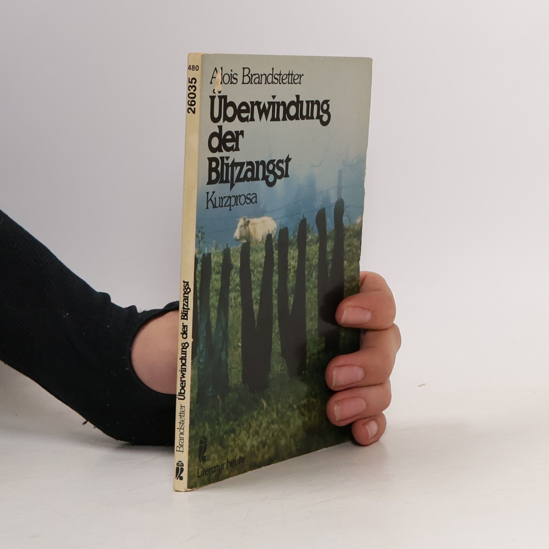 Alois Brandstetter Überwindung der Blitzangst