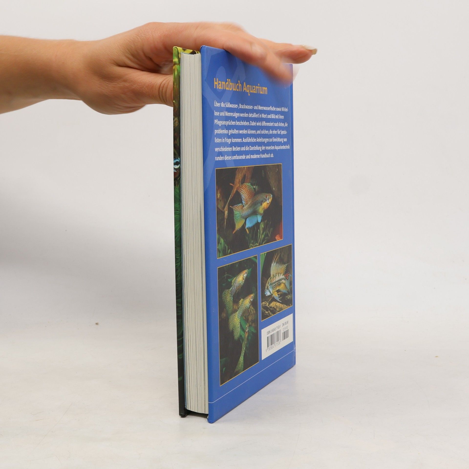 Gina Sandford Handbuch Aquarium