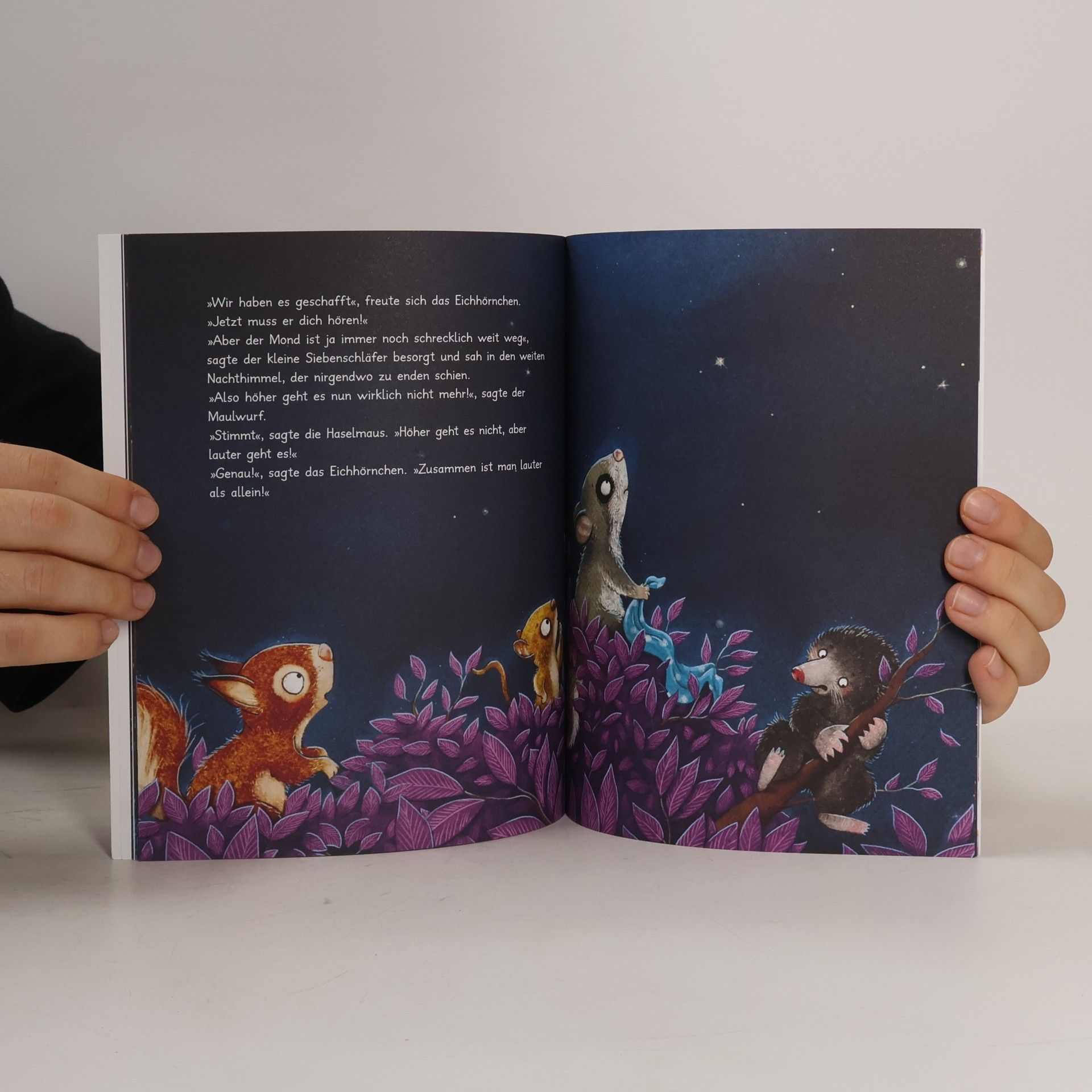 Sabine Bohlmann Happy Meal. Die Geschichte vom kleinen Siebenschläfer, der dem Mond Gute Nacht sagen wollte