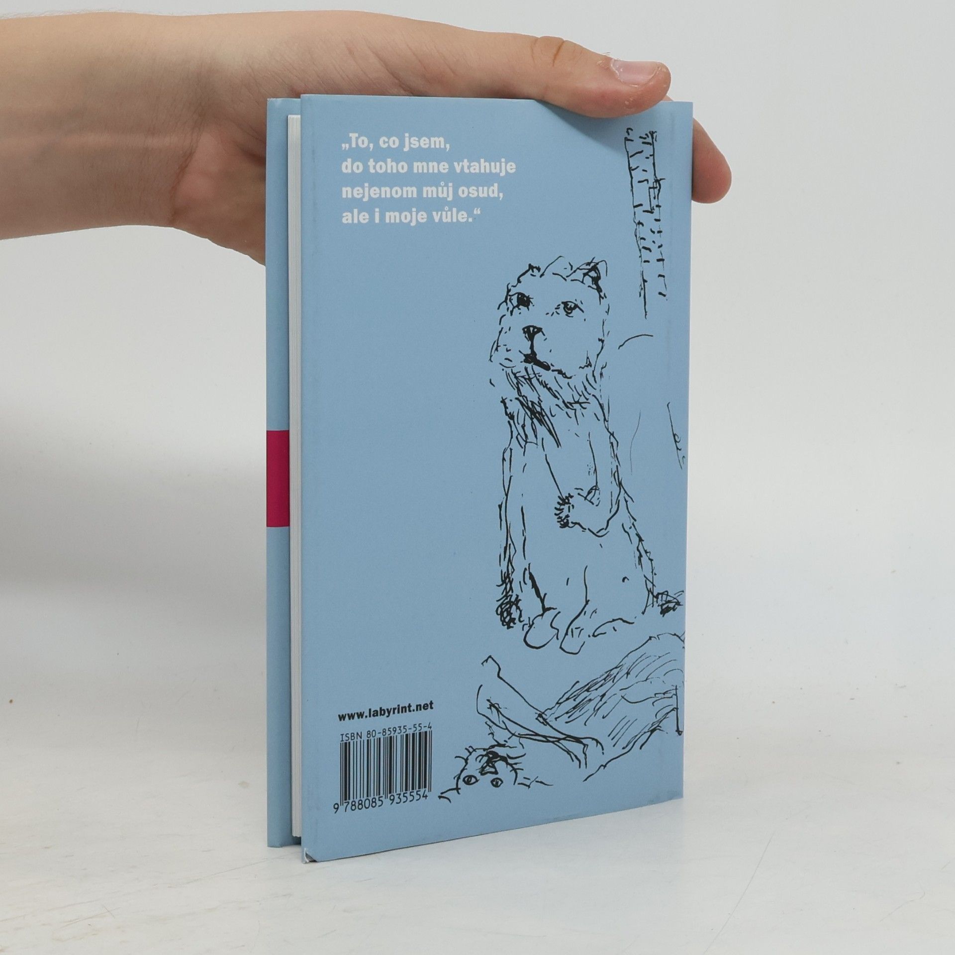 Bohumil Hrabal Večerníčky pro Cassia: Vybrané texty z let 1989-1994