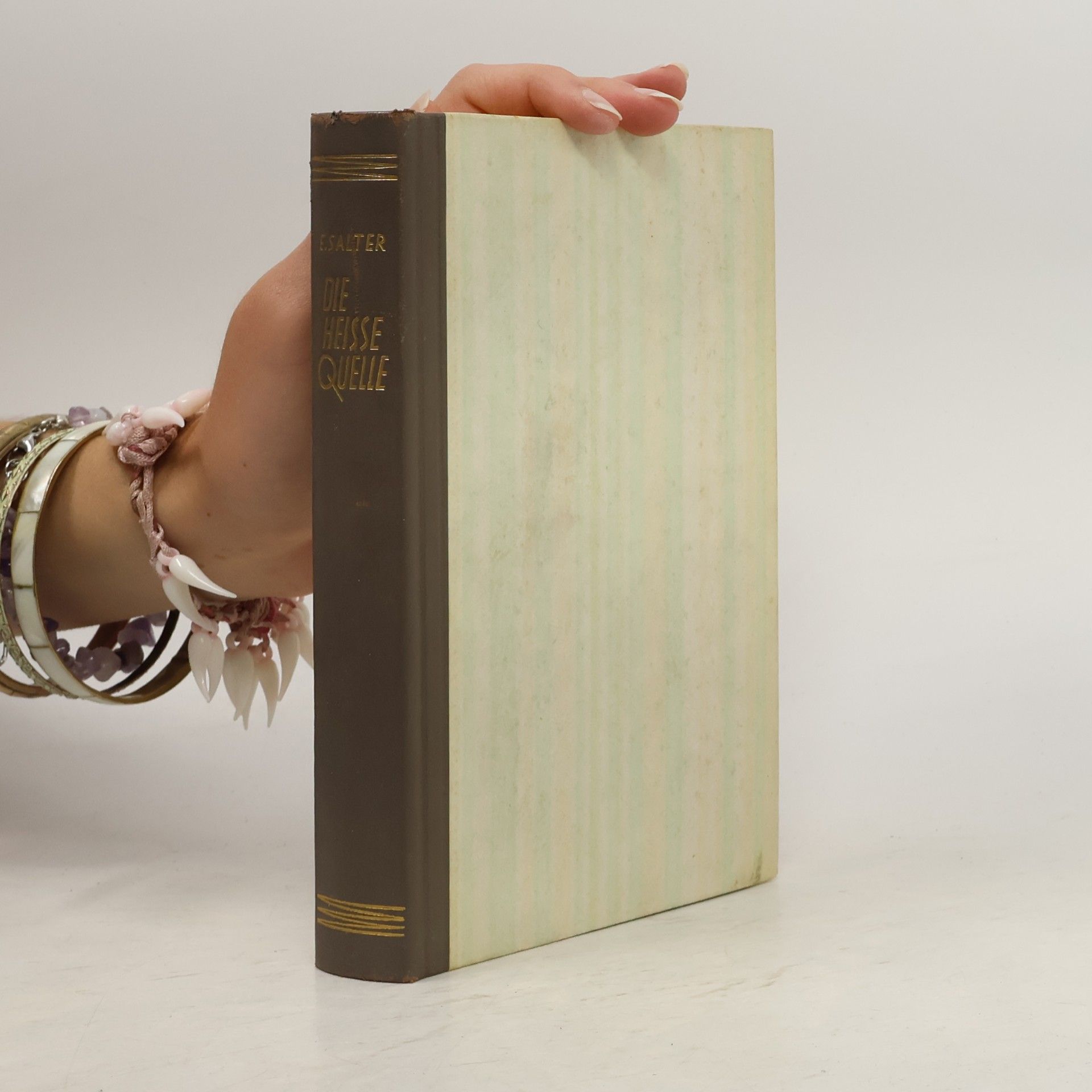 Elizabeth Salter Die heisse Quelle