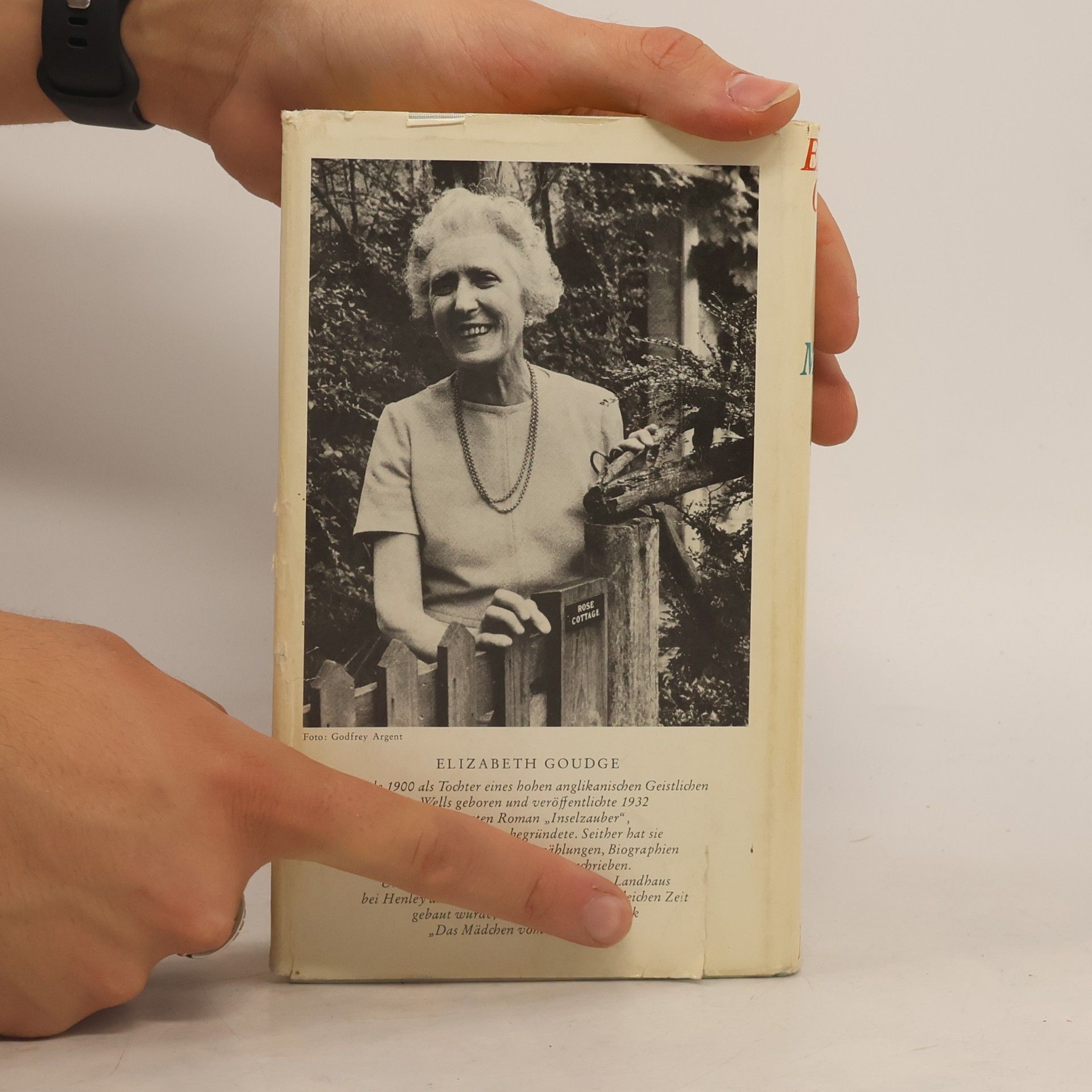 Elizabeth Goudge Das Mädchen vom Meer