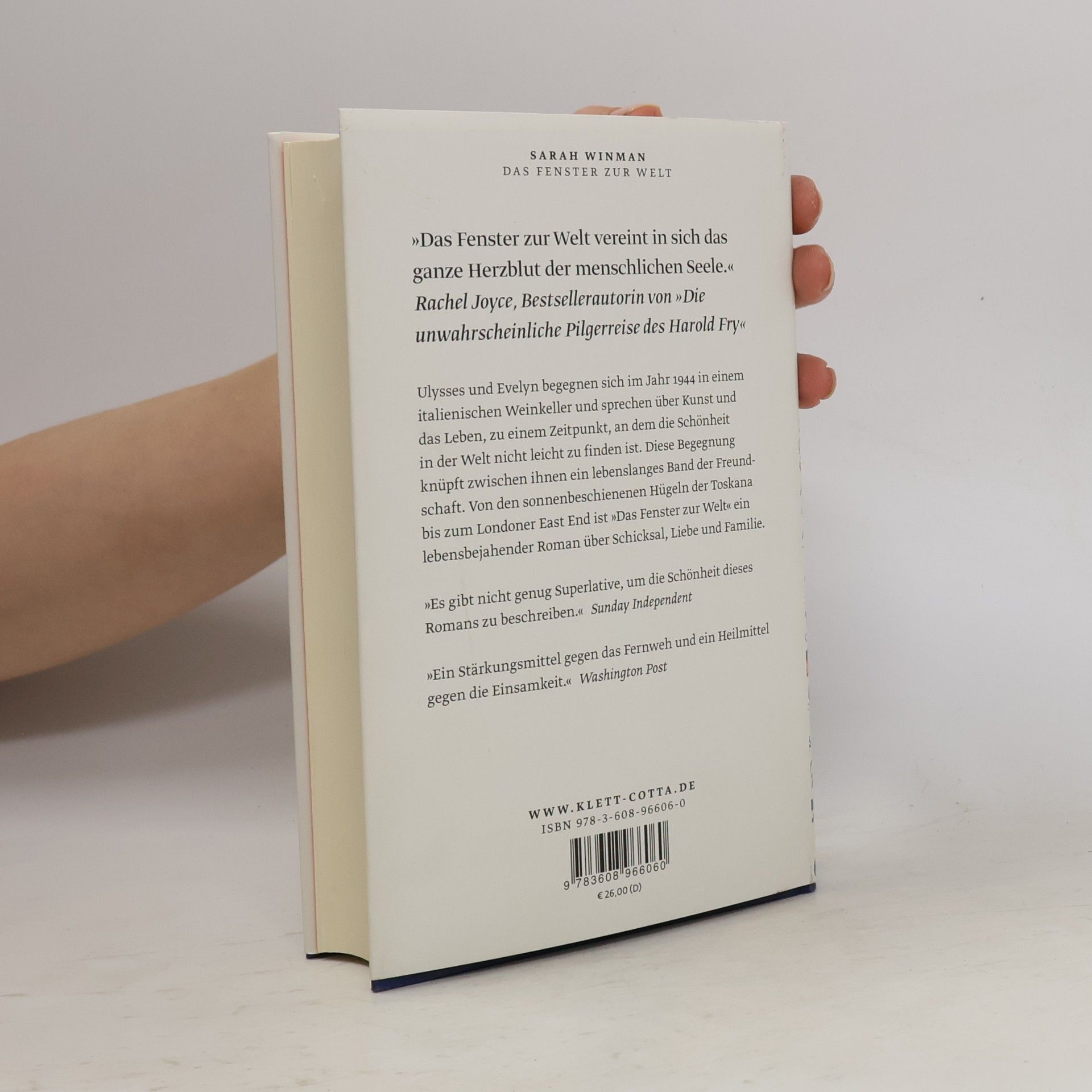 Sarah Winman Das Fenster zur Welt