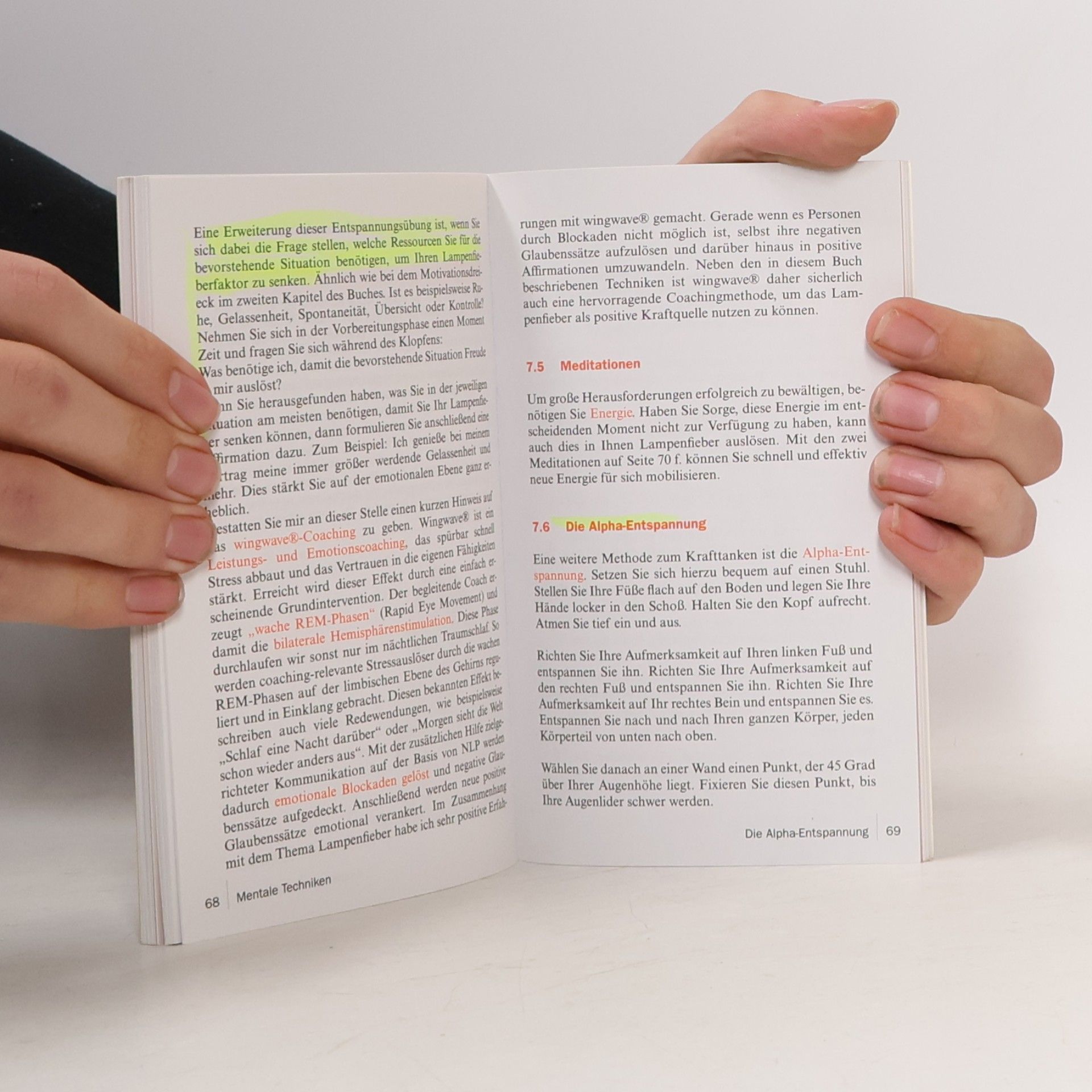 Bert Udo Koch Pocket Business Training: Lampenfieber
