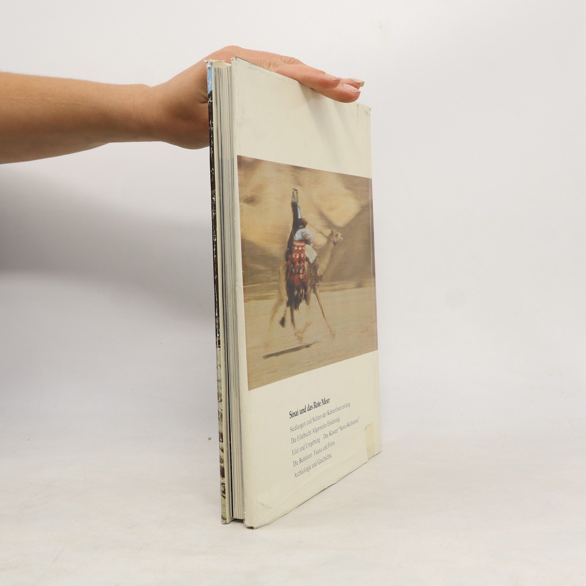 Autorenkollektiv Sinai und das Rote Meer